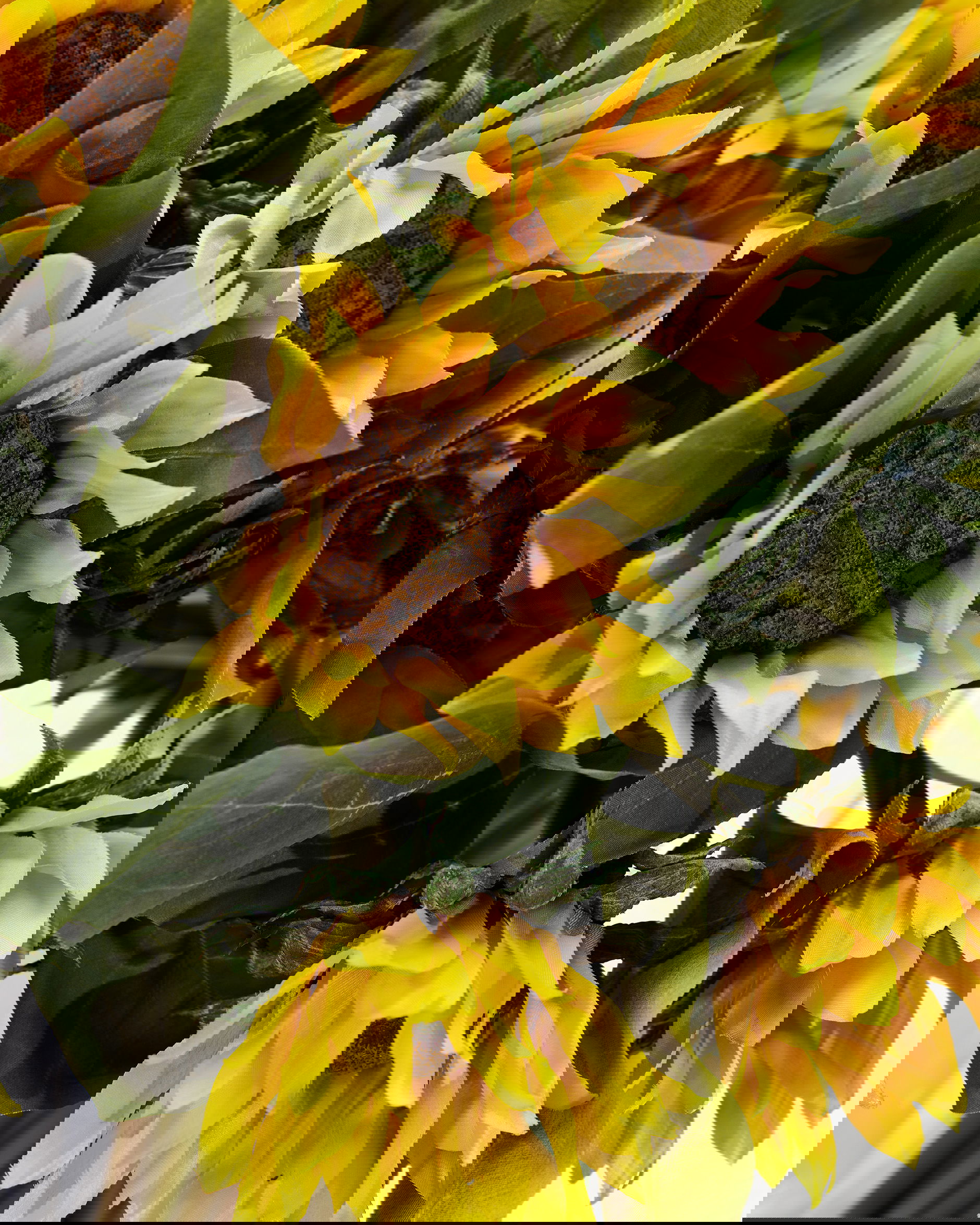 Sunflower cut flower yellow