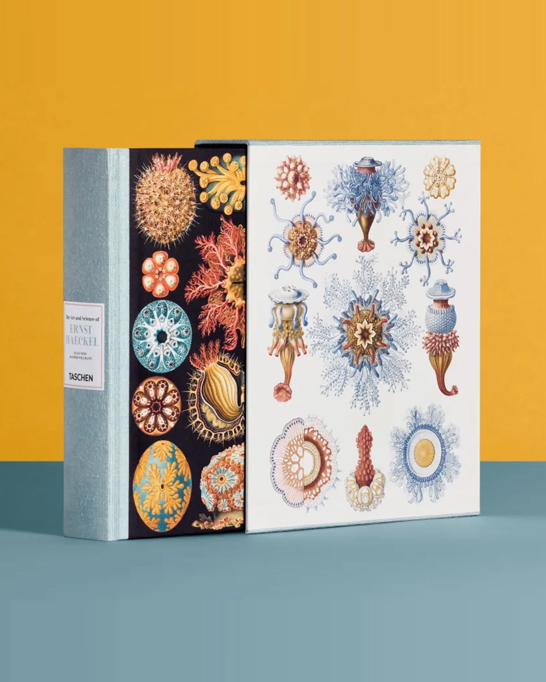 The Art and Science of Ernst Haeckel
