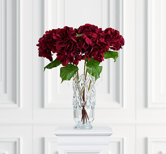 Hortensia snittblomma burgundy