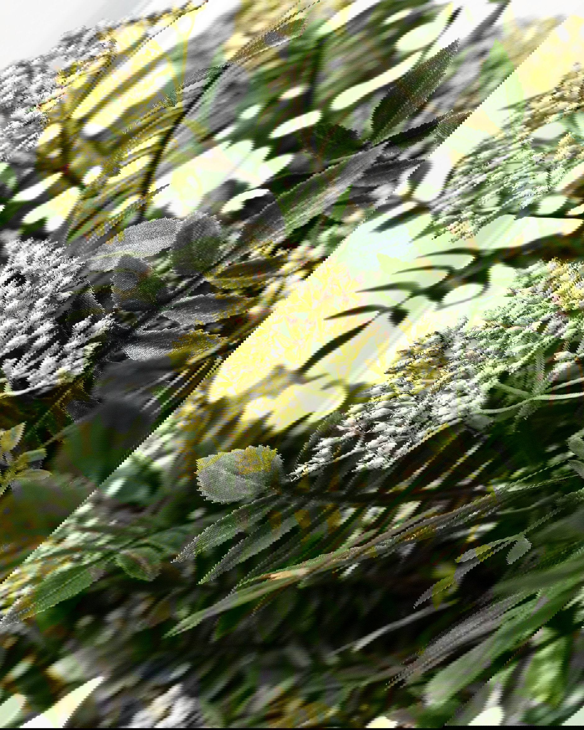 Lijsterbes snijbloem groen