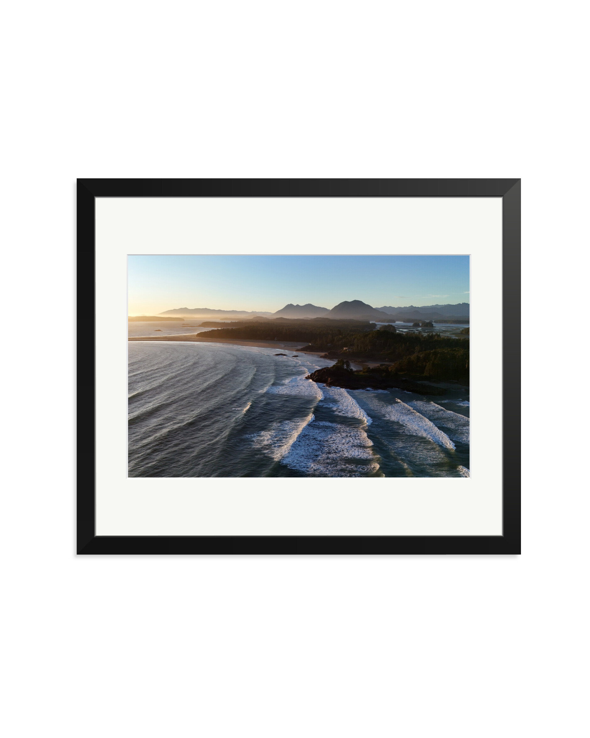 Pacific Swell Black / Large