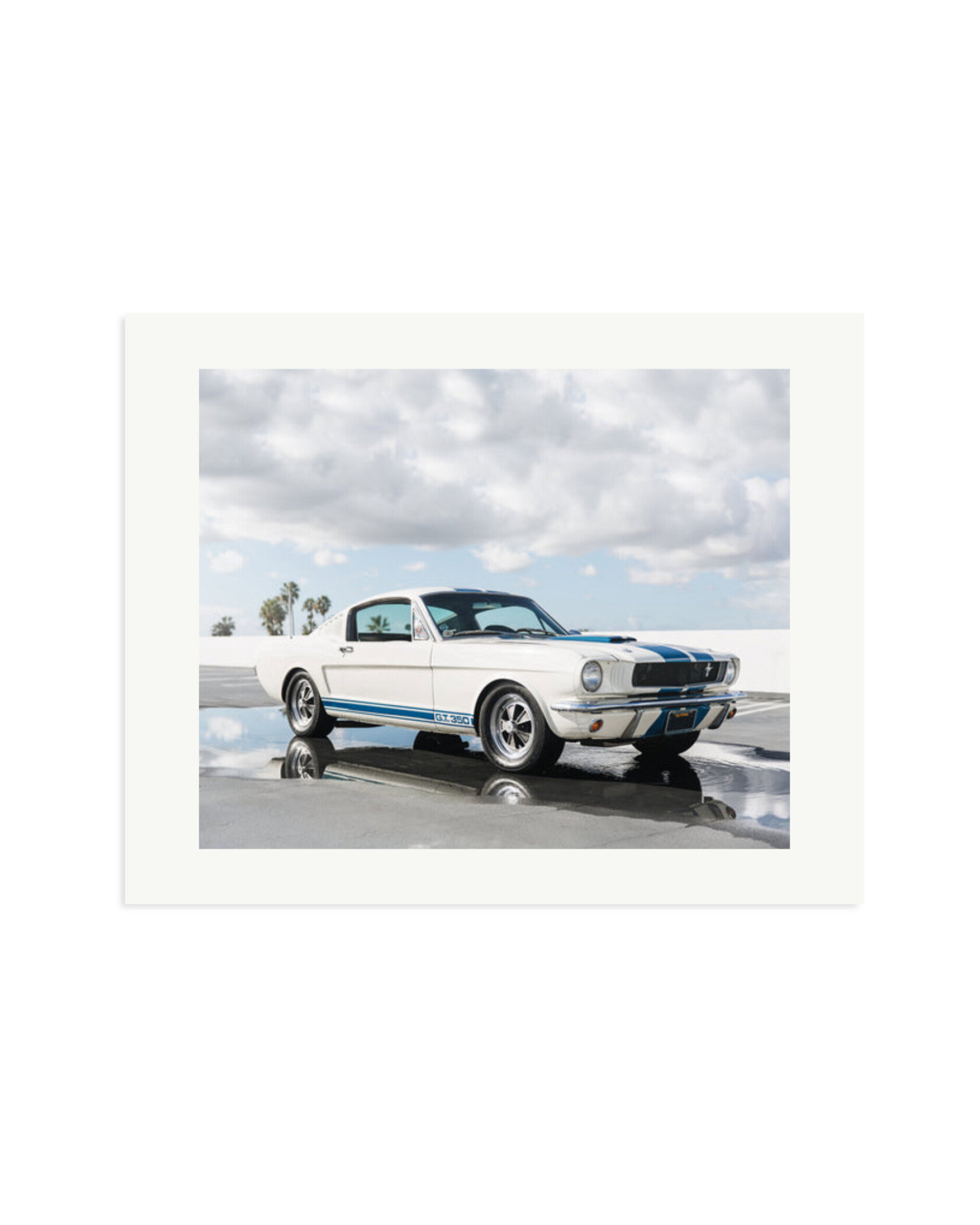 Ford Mustang Shelby GT350 Print Only / Medium