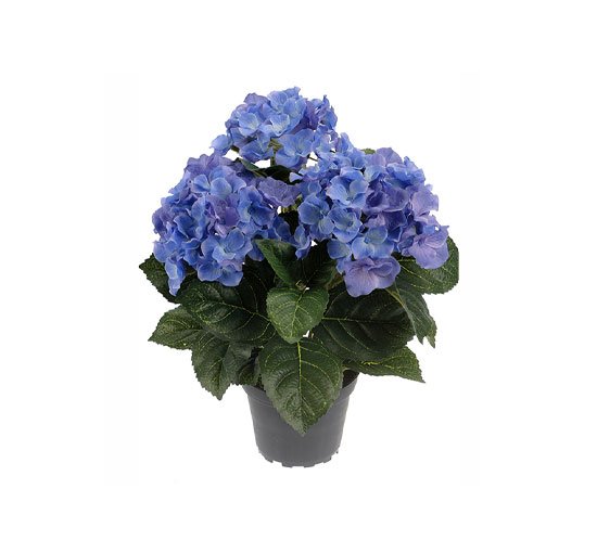 Blå - Kunstig Hortensia potteplante blå