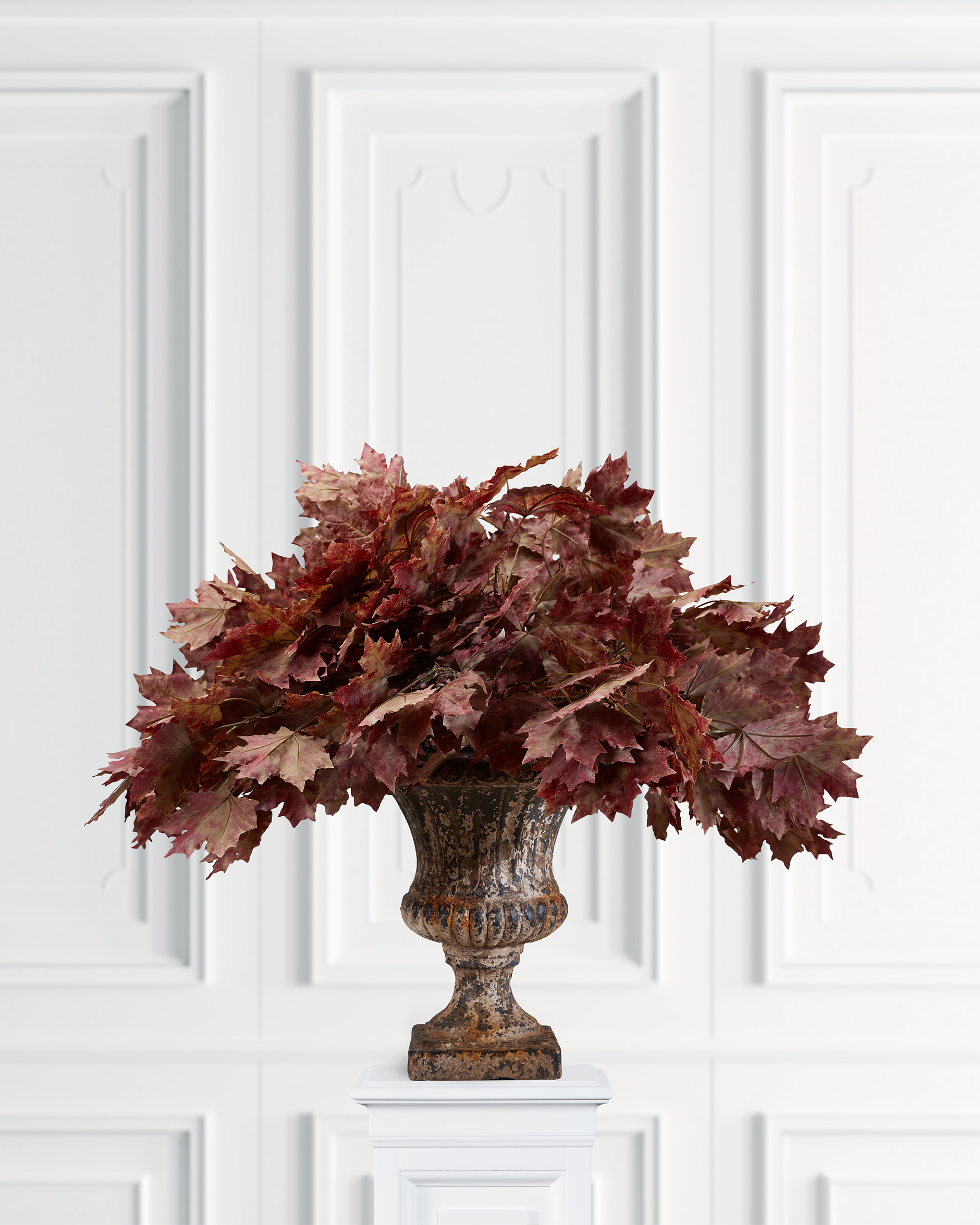 Orange maple cut flower