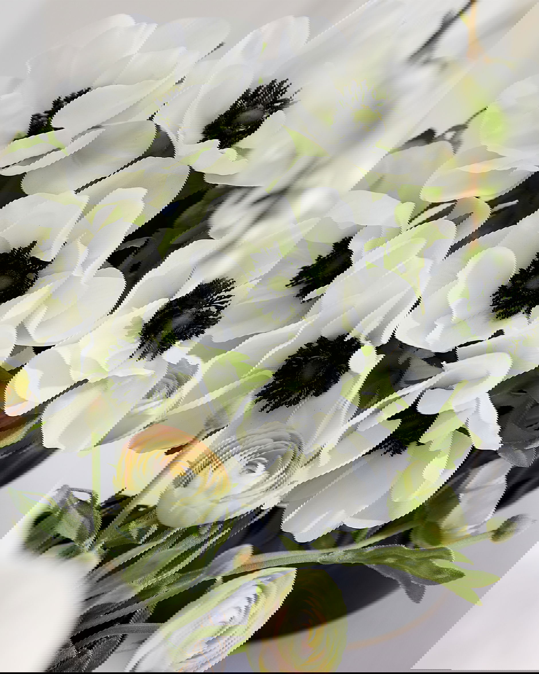 Anemon snittblomma vit