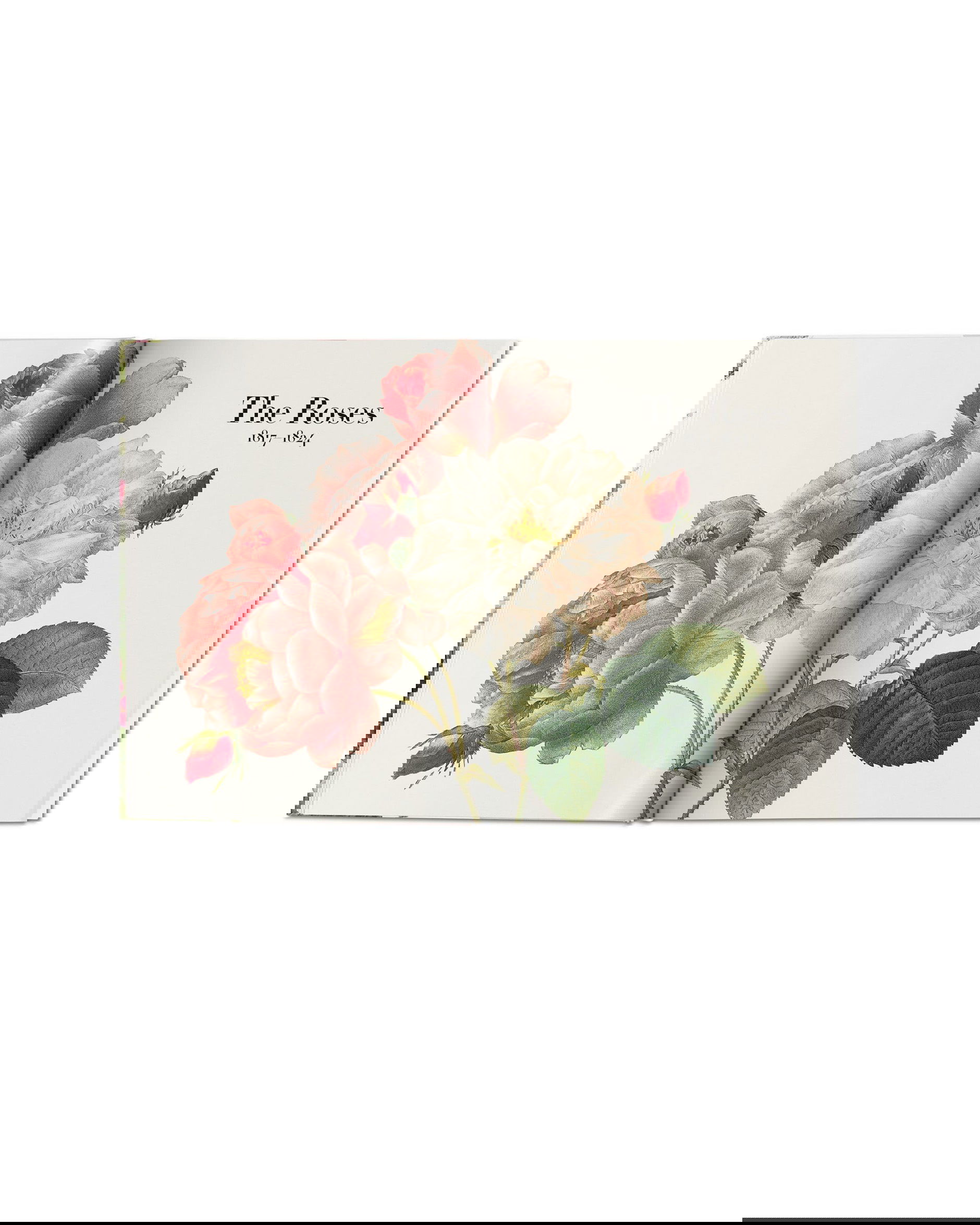 Book of Flowers - Redouté