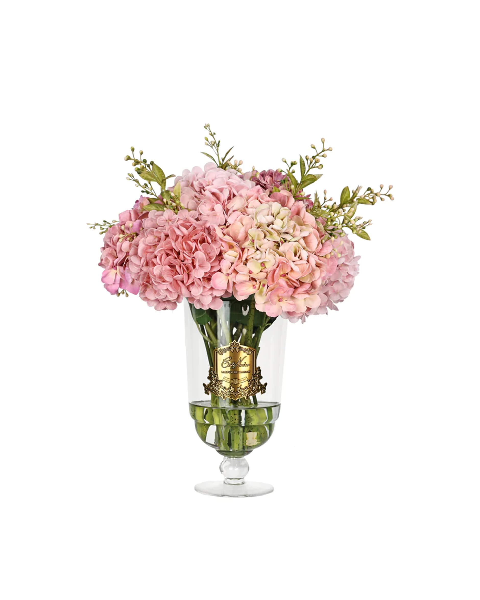 Hortensia d’Été gåvoset