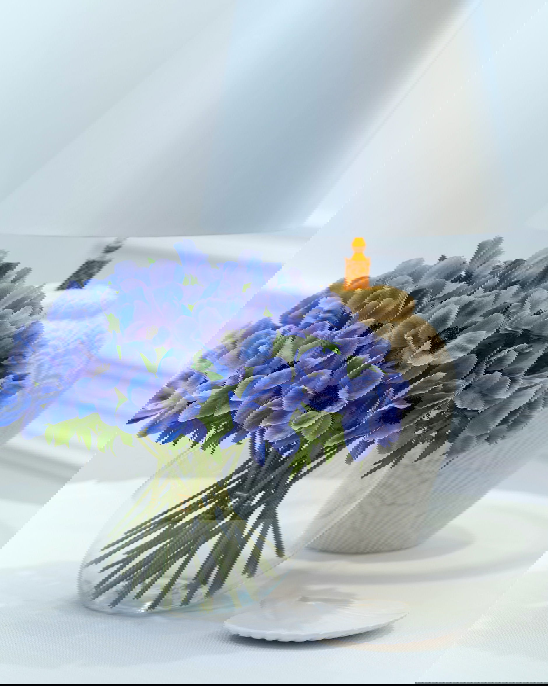 Anemon snittblomma blå