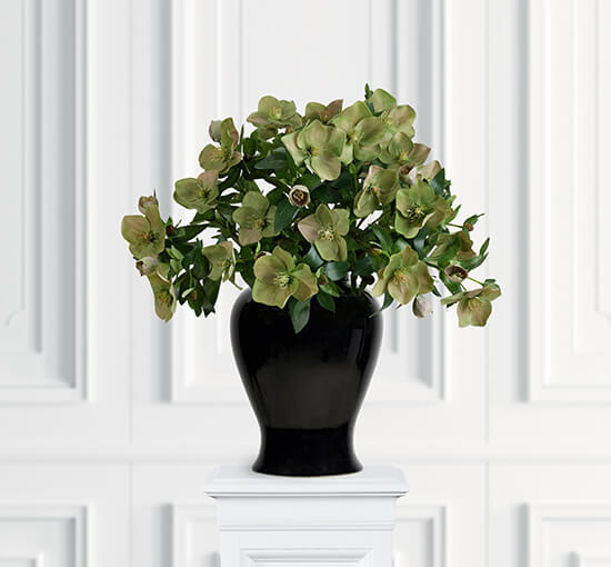 null - Christmas Rose Cut Flower Pink