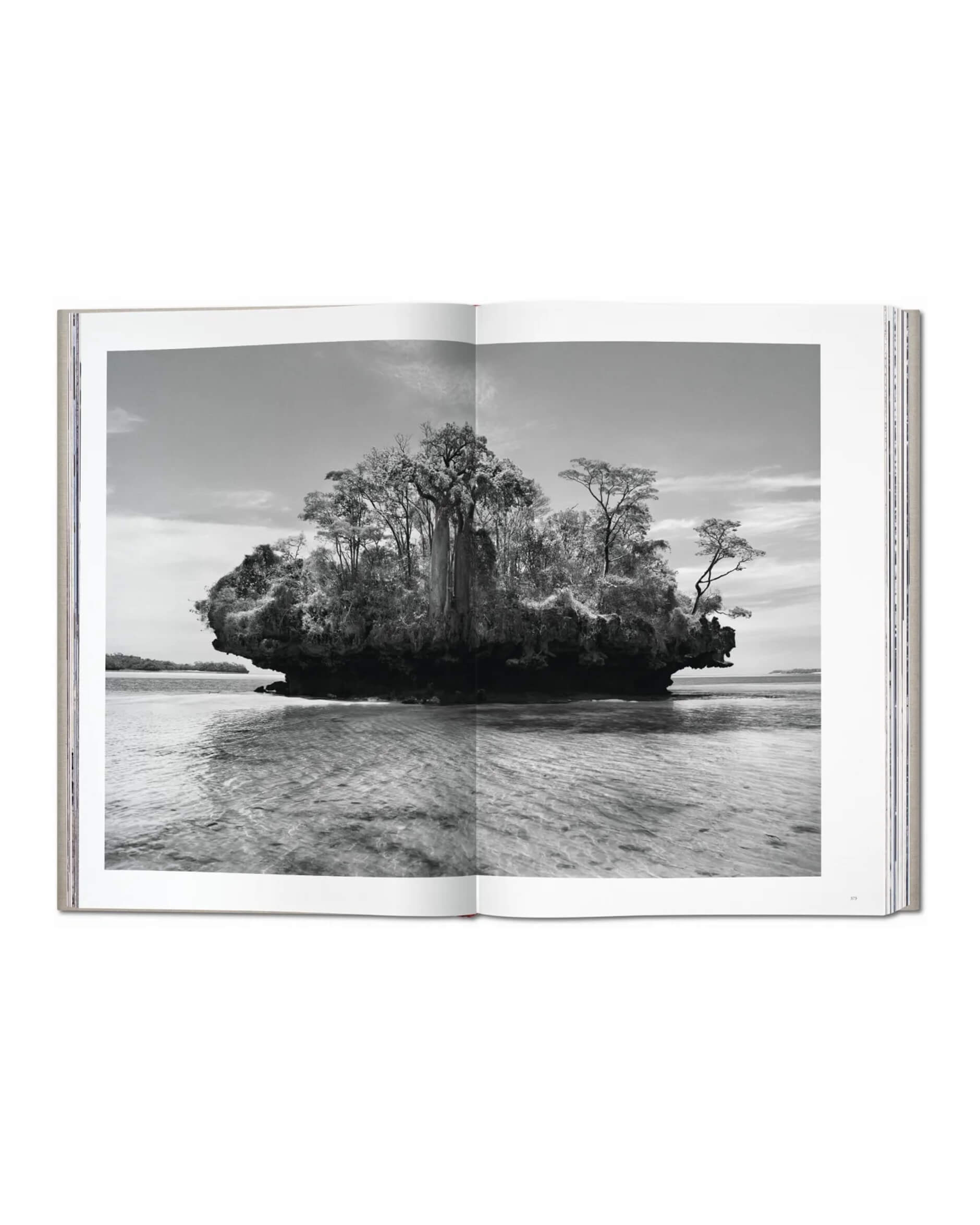 Sebastião Salgado Genesis SUMO