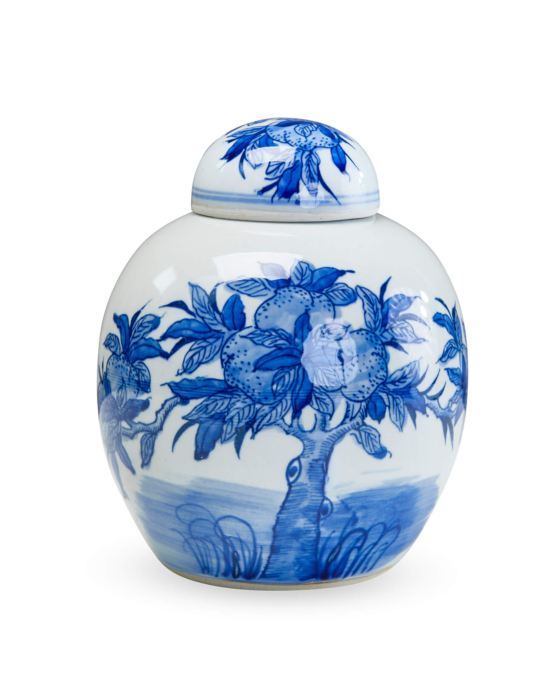 Naomi ingefärskrus blå/vit