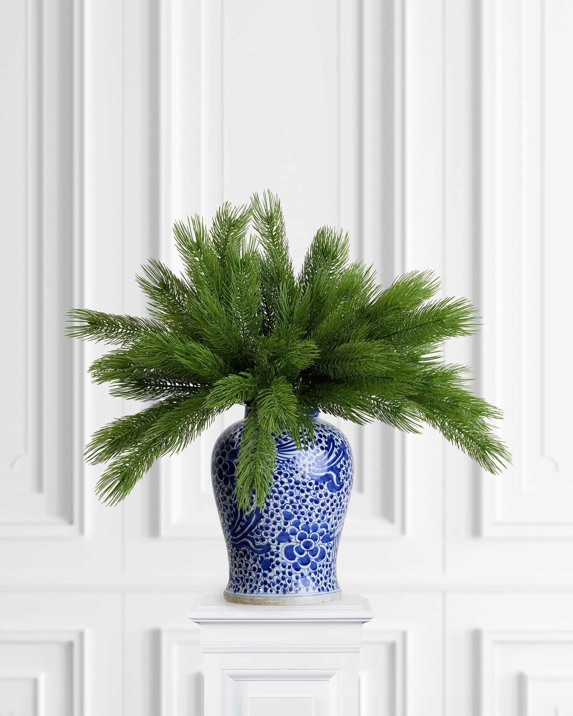 Forrest tallkvist grön