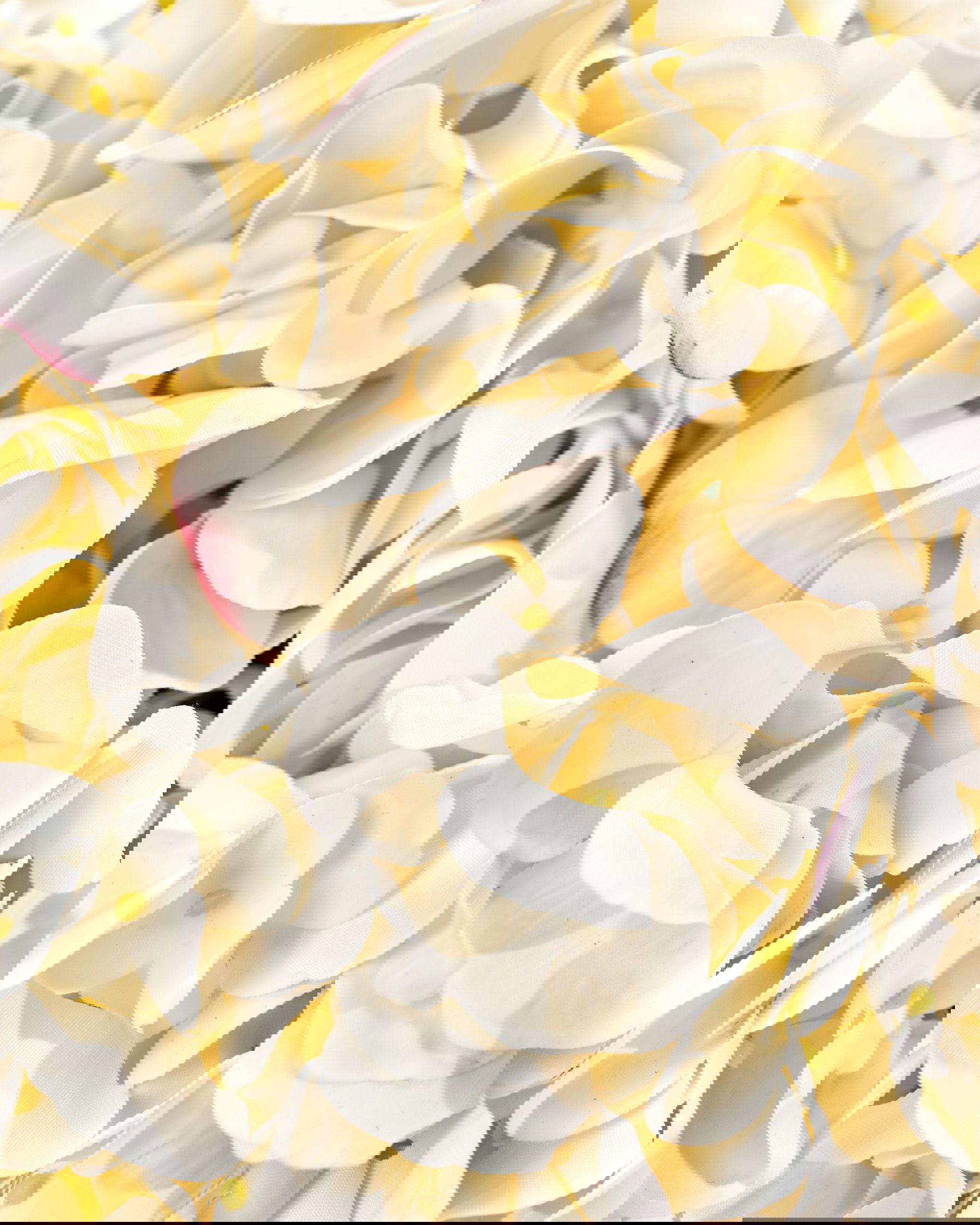 Hortensie Schnittblume weiß