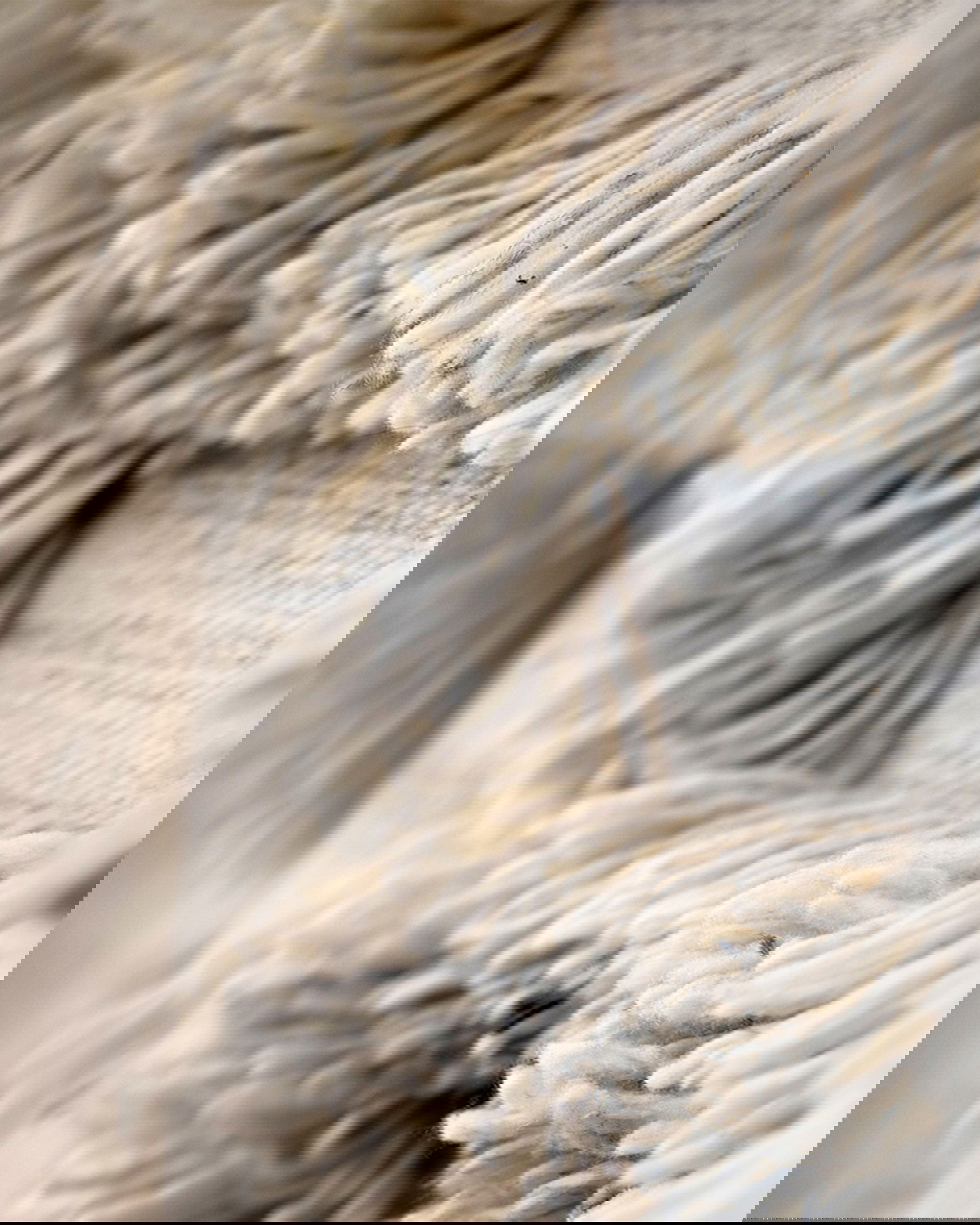 Rio matta ivory/melange