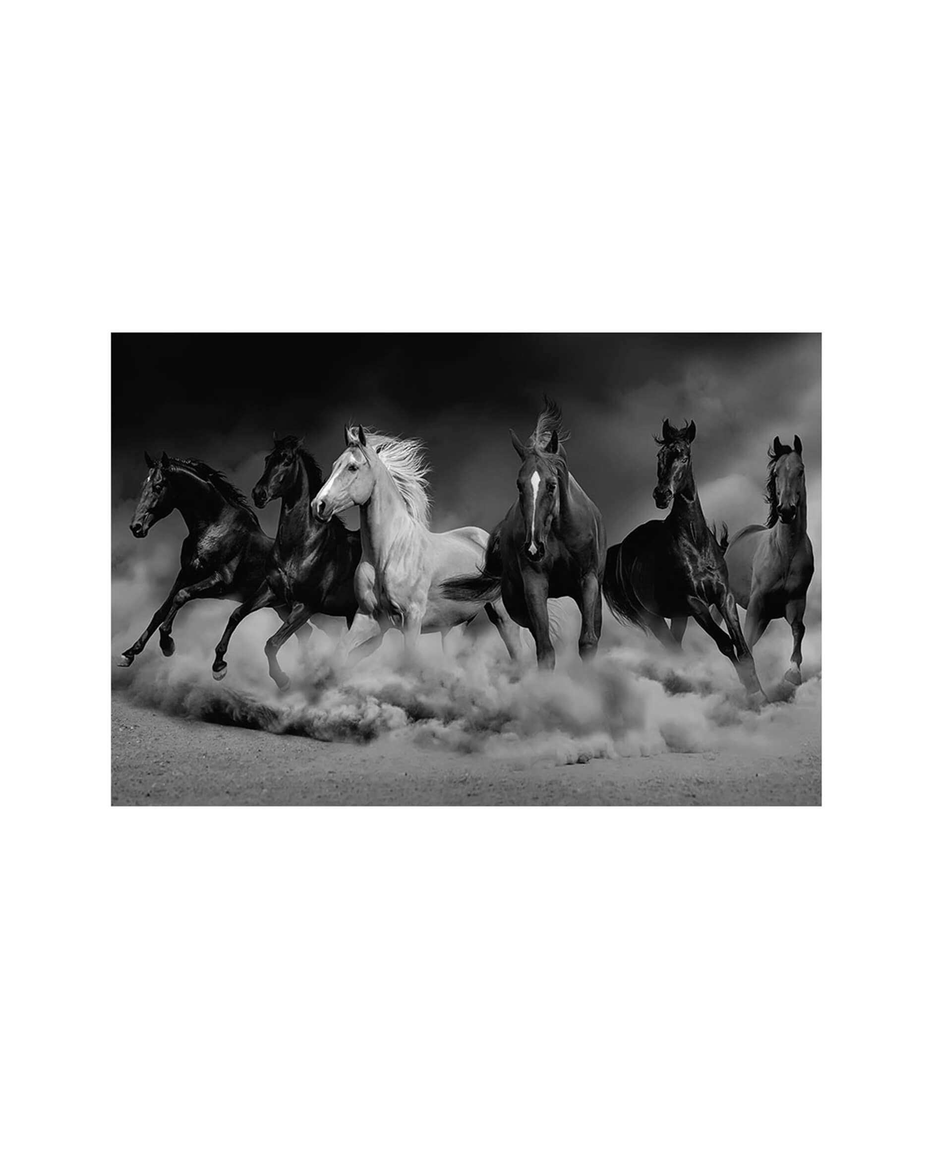 Royal Family of The Desert