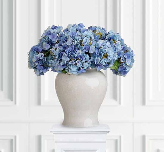 Blau - Hortensie Schnittblume lila