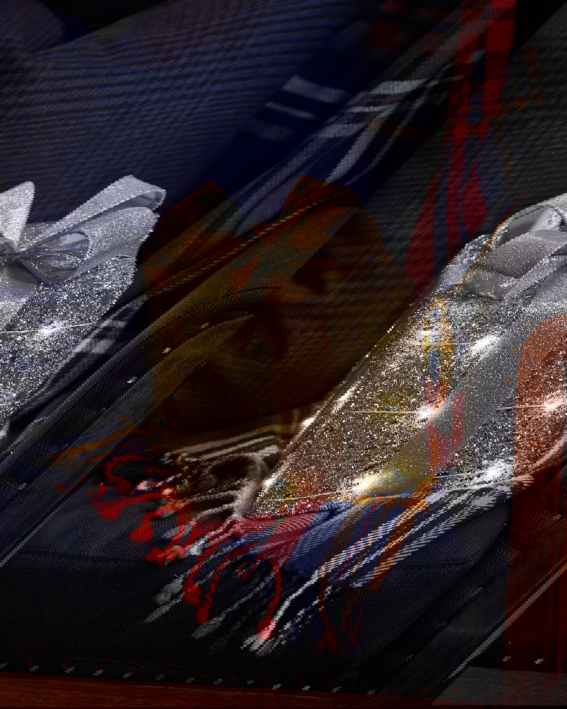 Trevor-joulukoriste, LED-paketti hopea