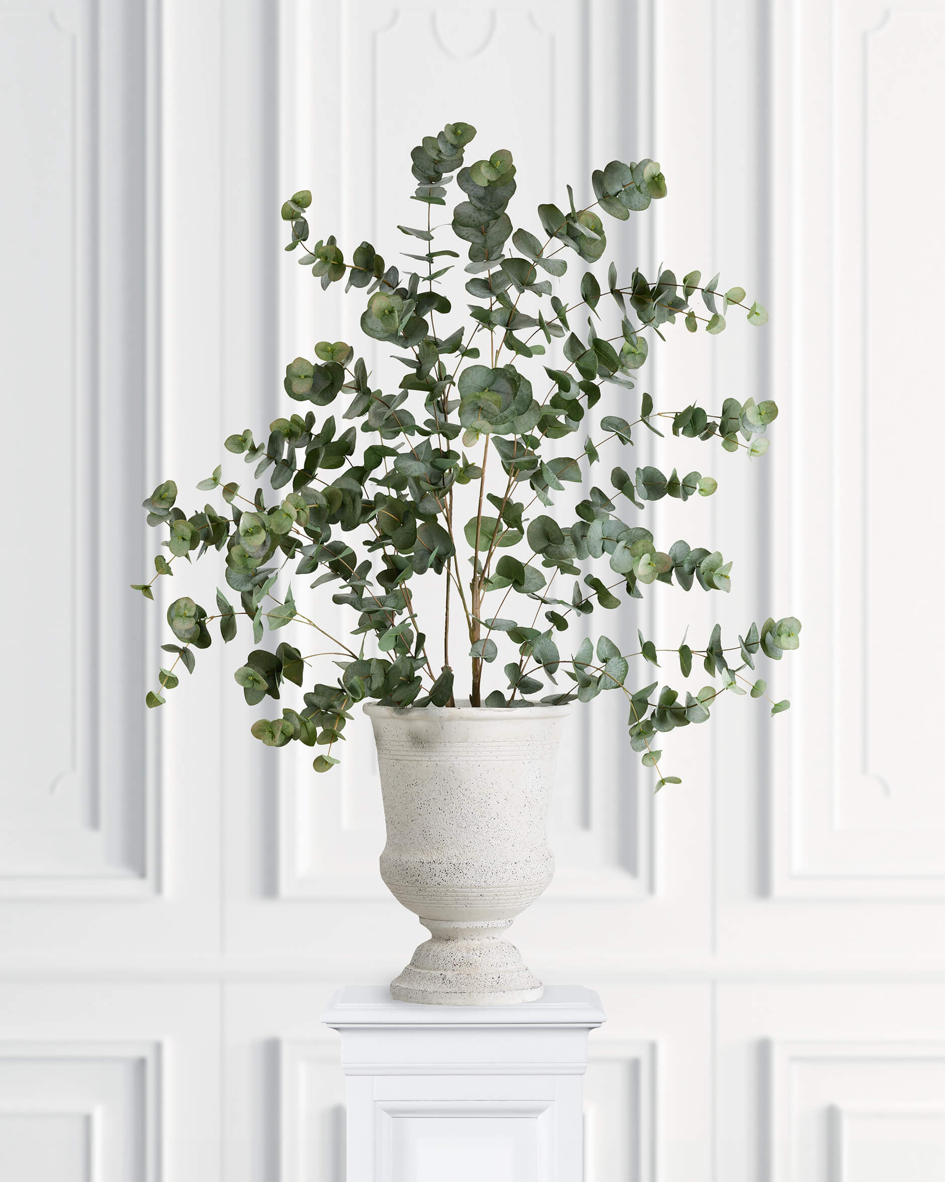 Eucalyptus konstväxt grön