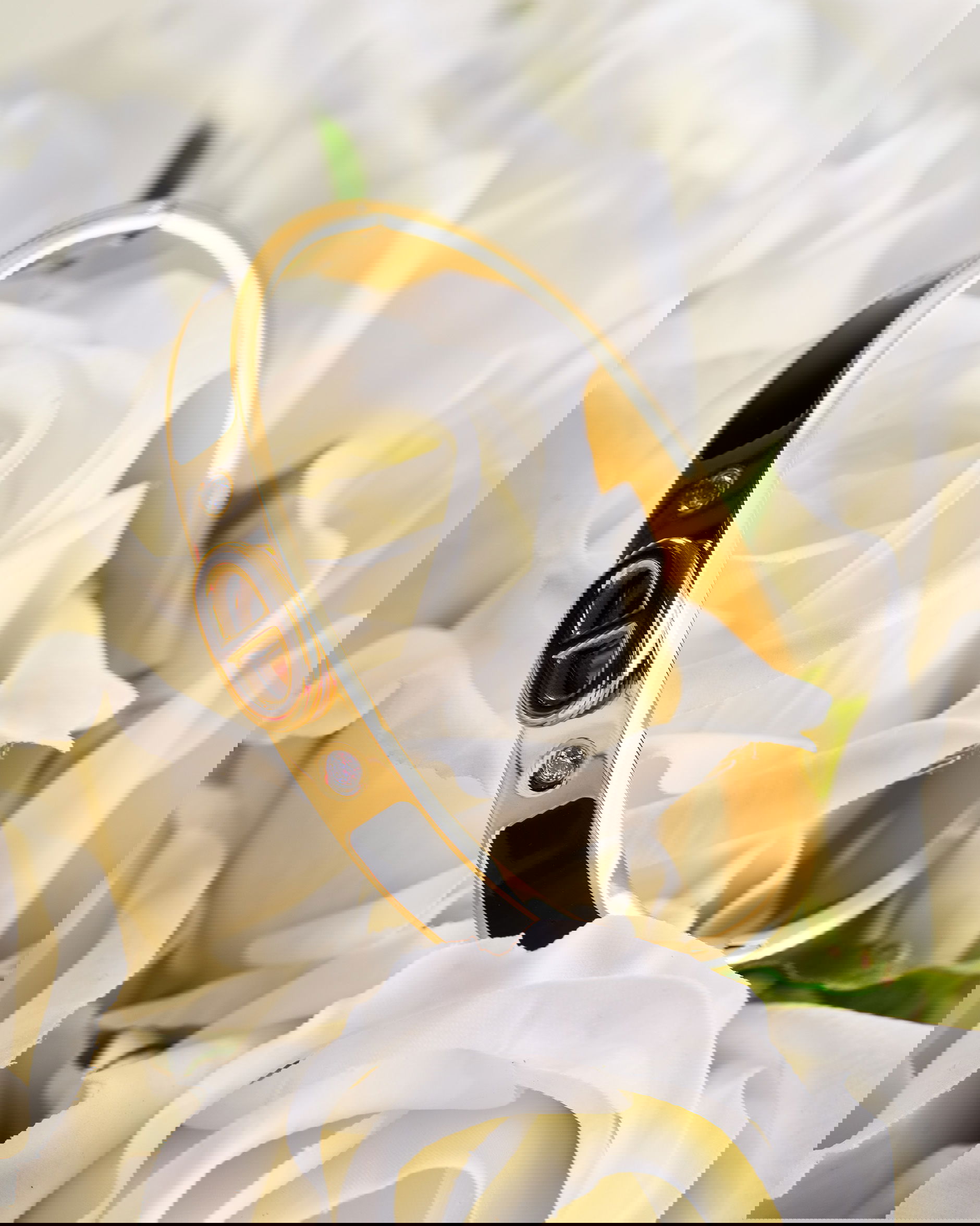 Pignose Bracelet Black