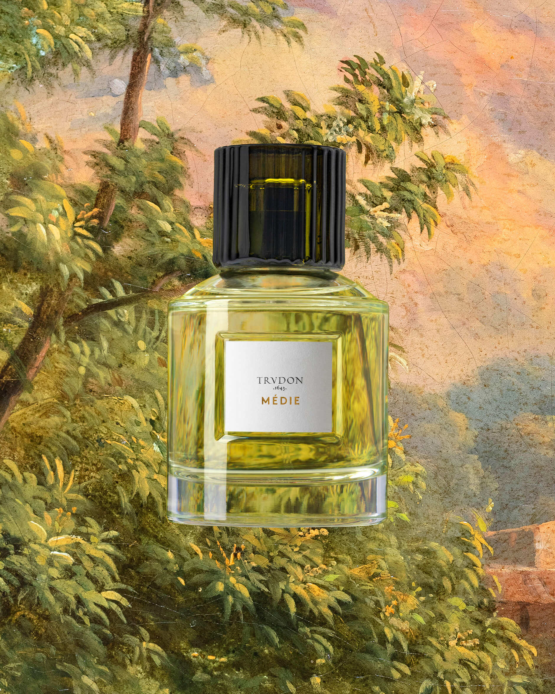【2025年】エレガントファッションを上品に着 Médie perfume Newport - 香水(ユニセックス)