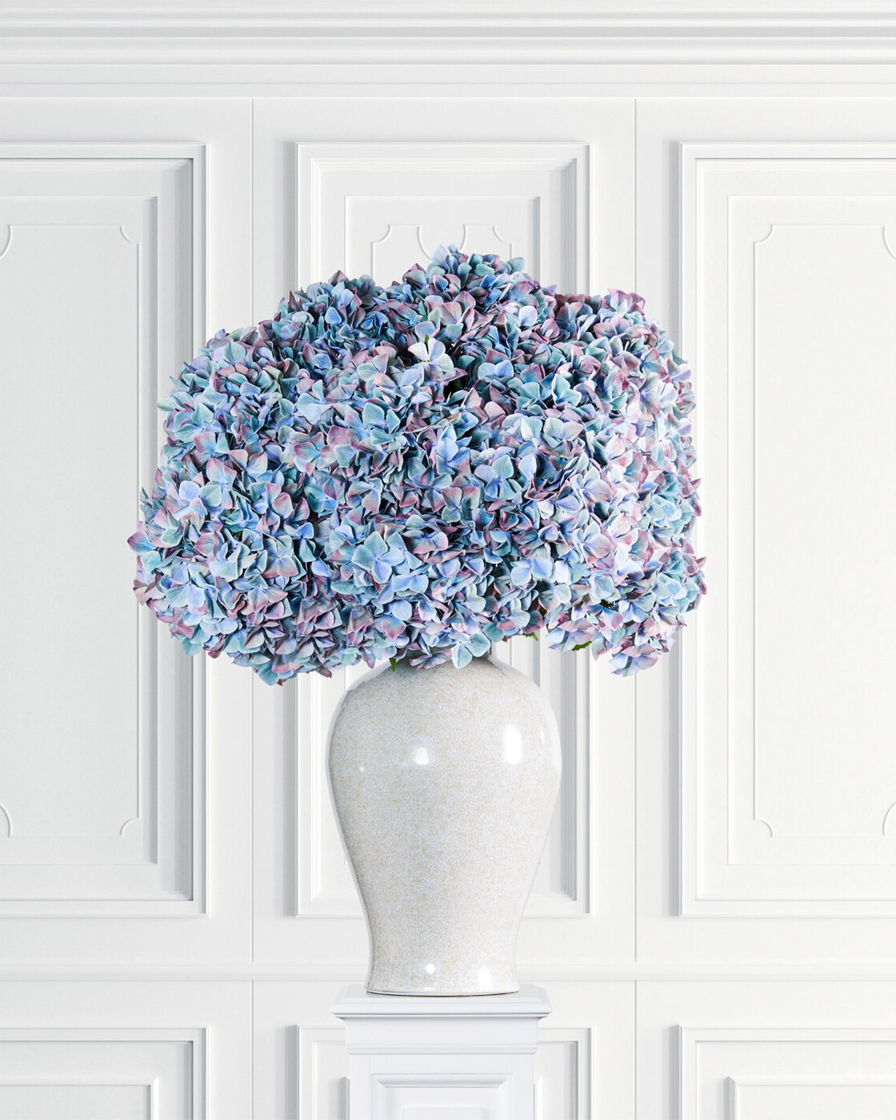 Hortensia snittblomma blå