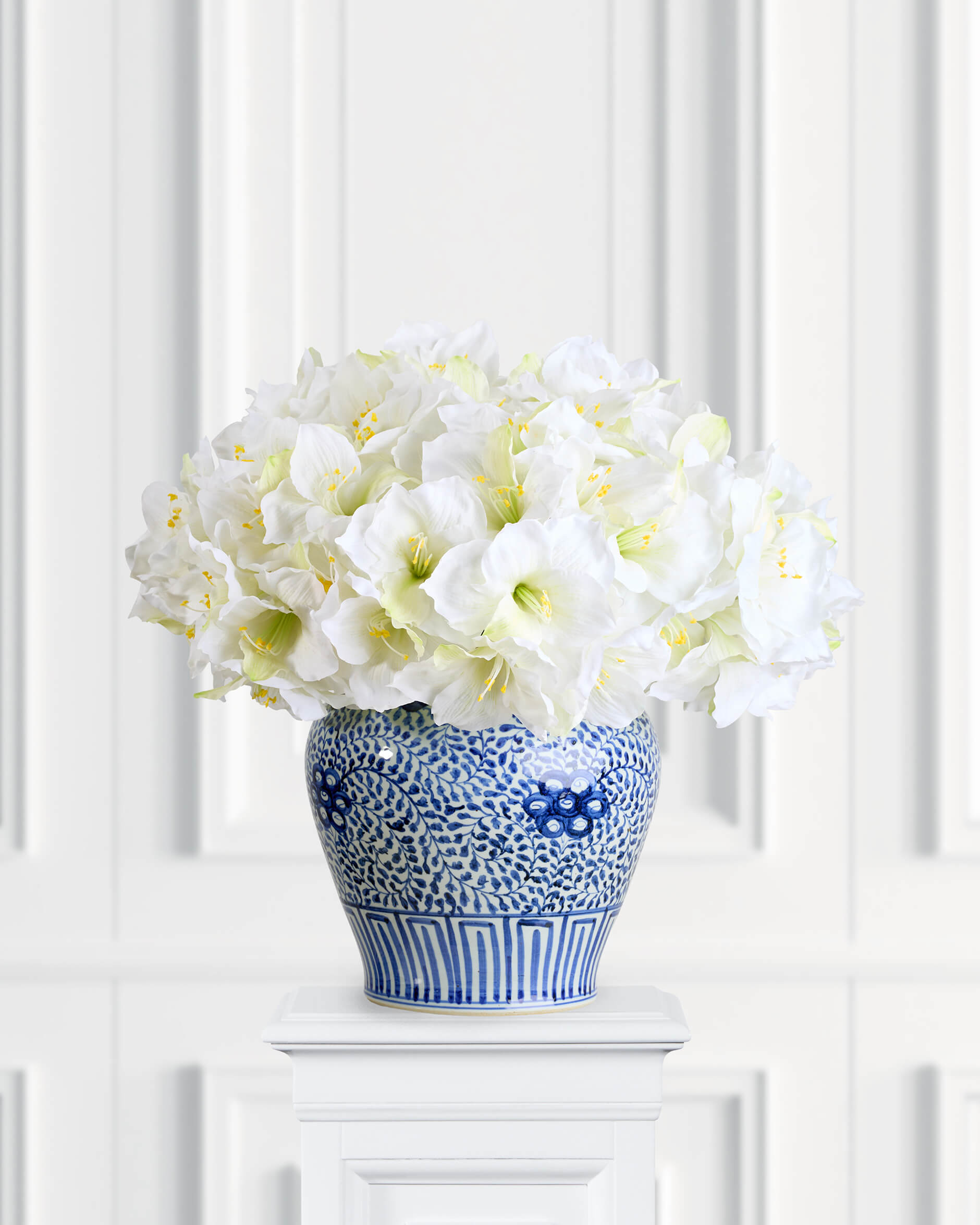 Amaryllis snittblomma cream