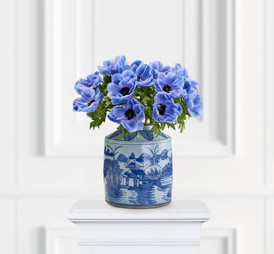 Blue - Anemone Cut Flower Blue