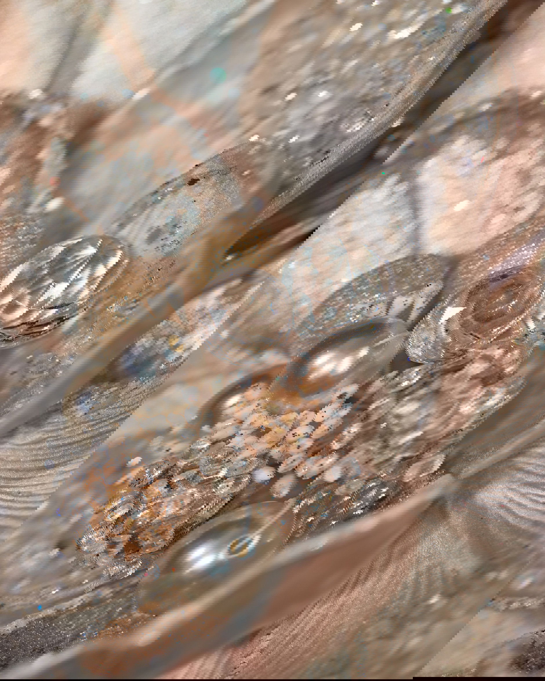 Magnolia Pearl decoratietak champagne