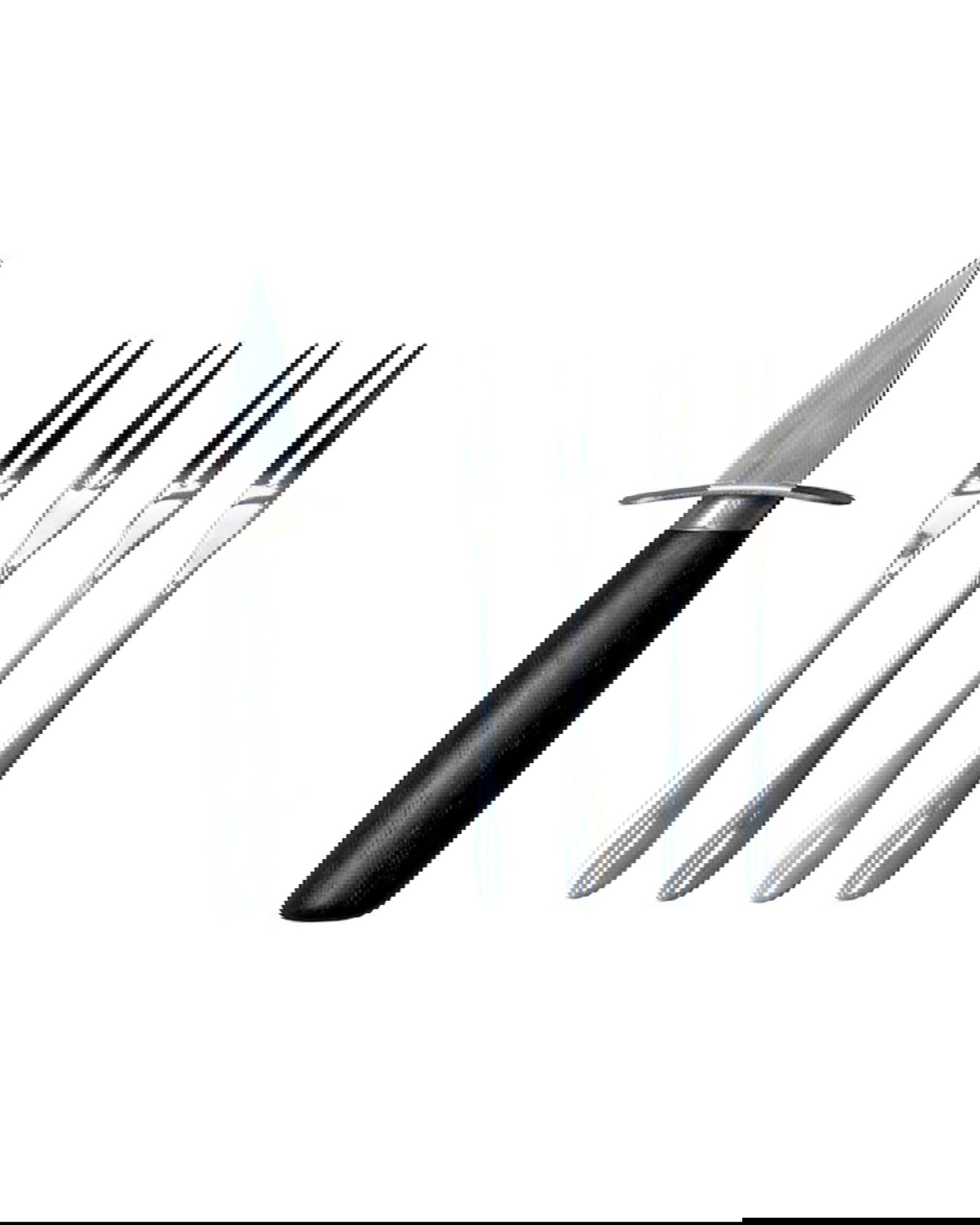 Ostricia ostronset svart