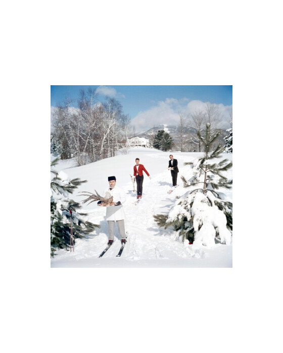 Skiing Waiters