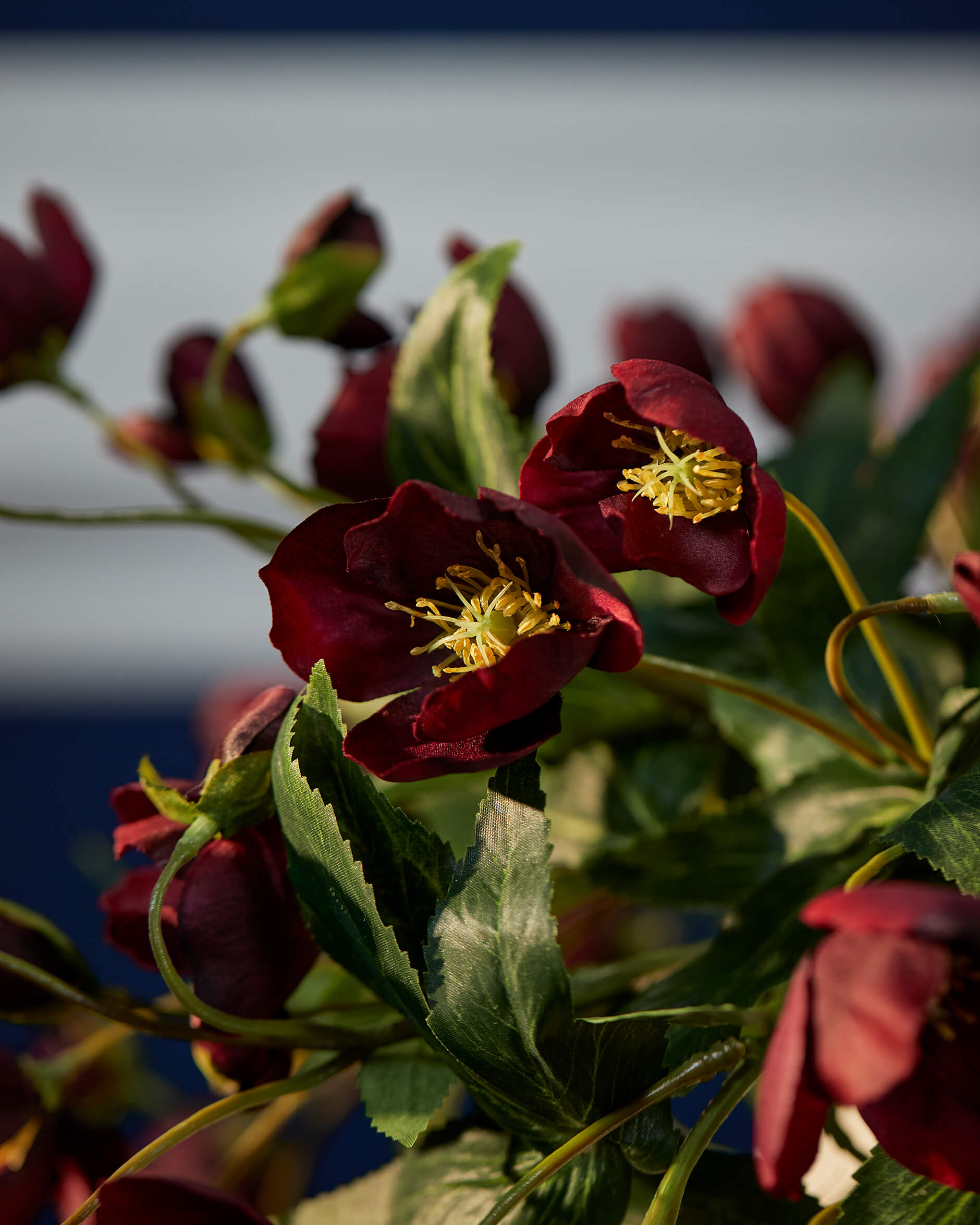 Julros snittblomma vinröd