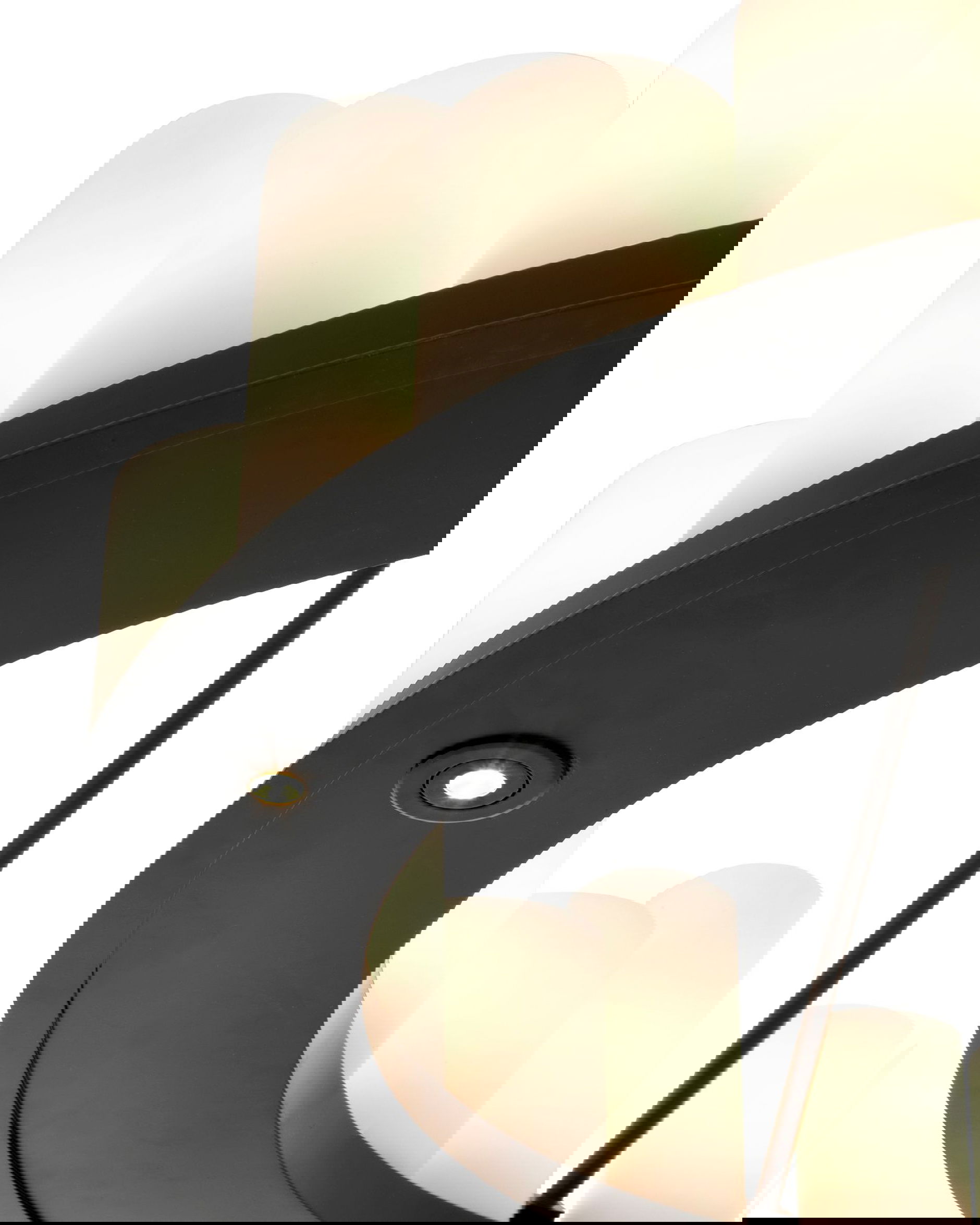 Commodore takkrona svart