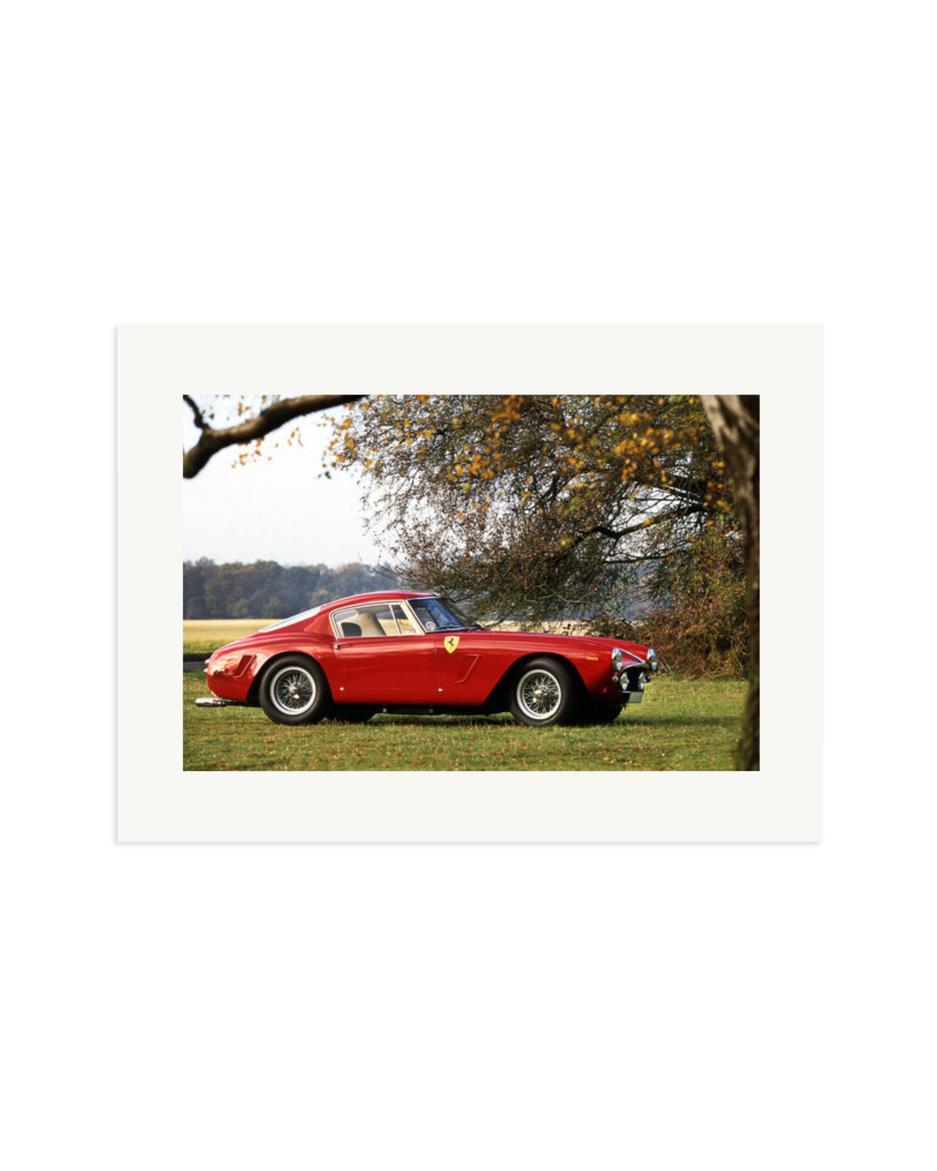 Ferrari Competizione Print Only / XL
