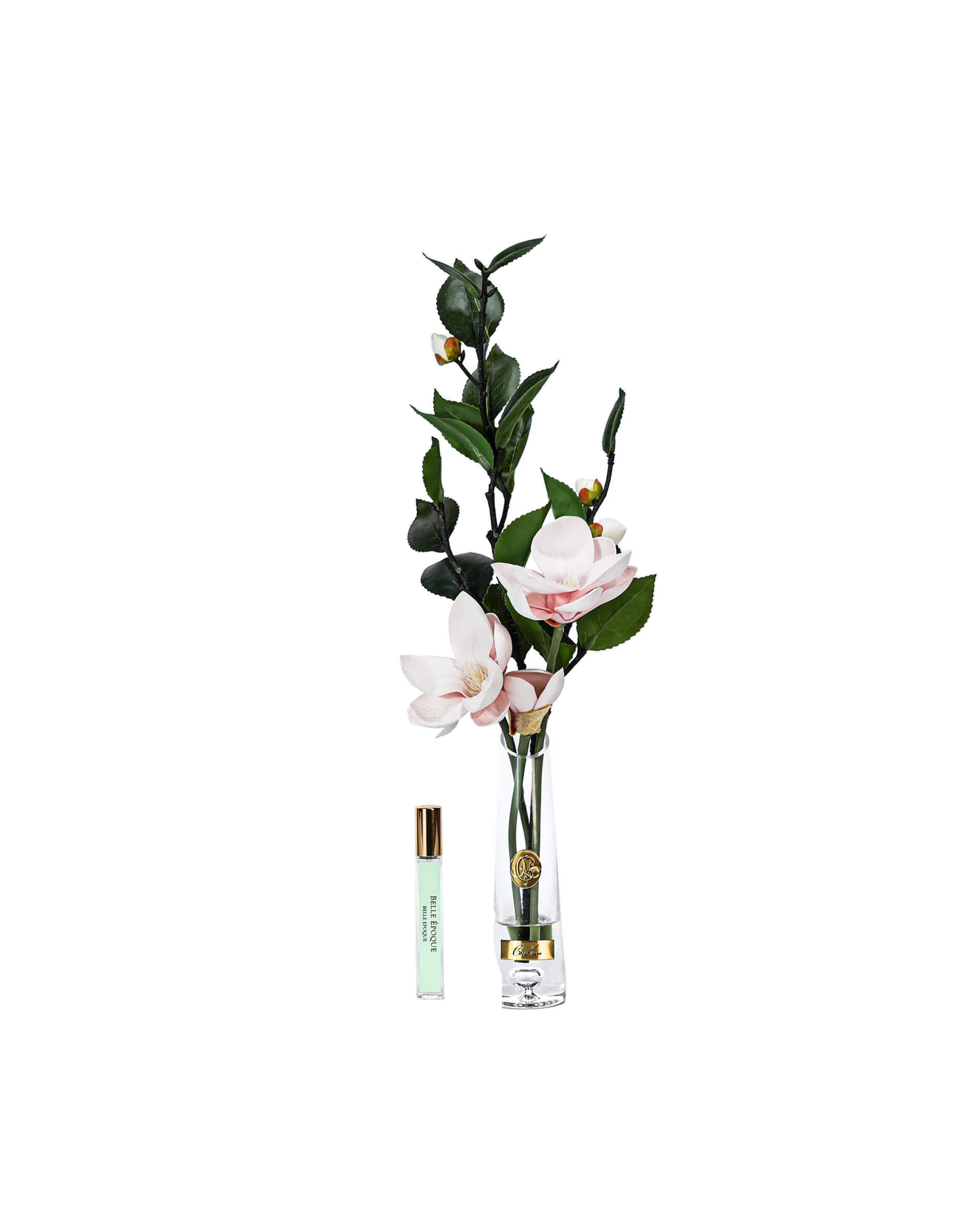 Magnolia d'Été gåvoset