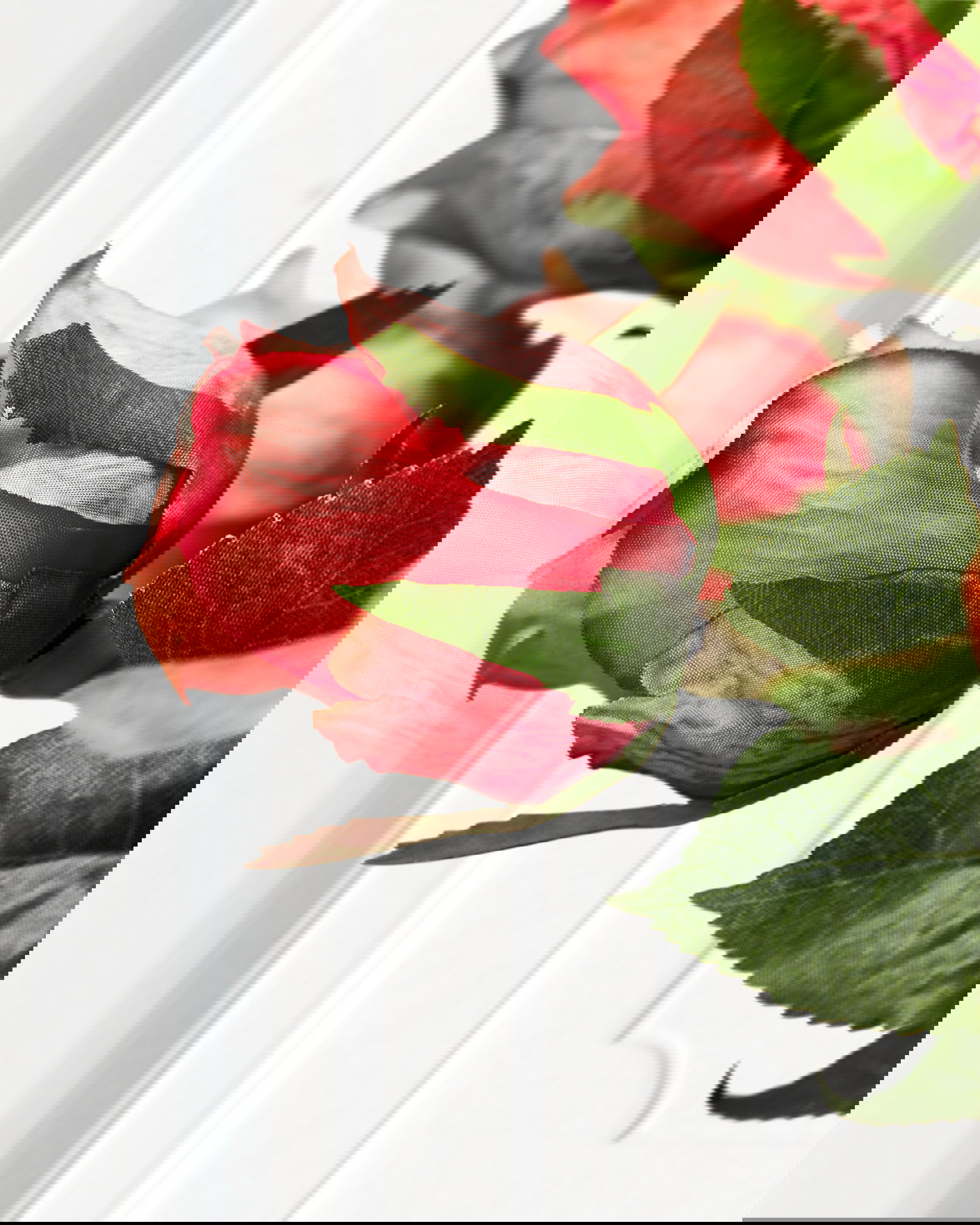 Ros snittblomma korall