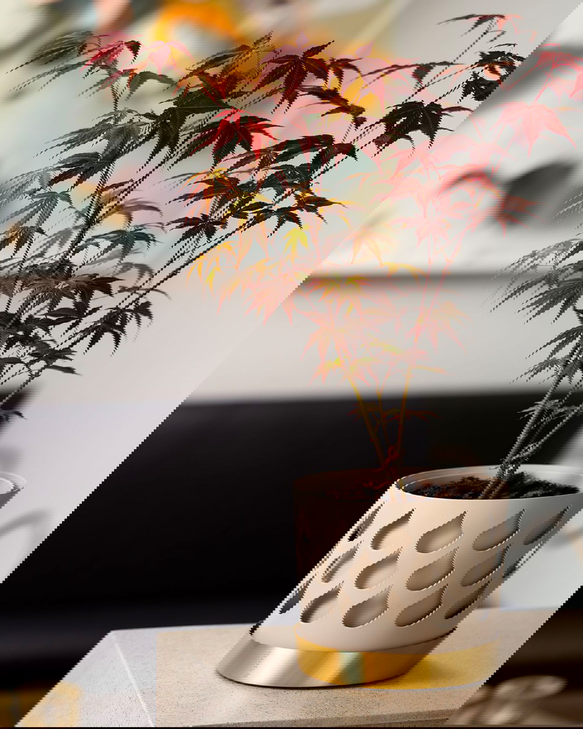 Trio Drop kruka beige