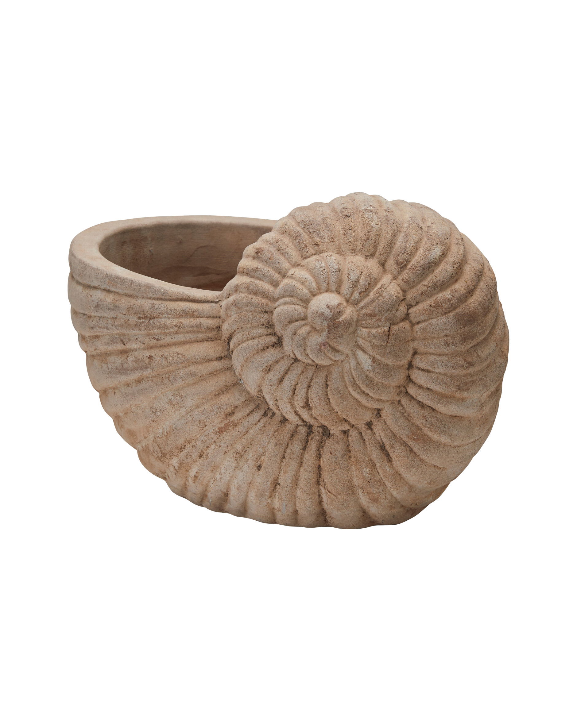 Shell pot antique terracotta