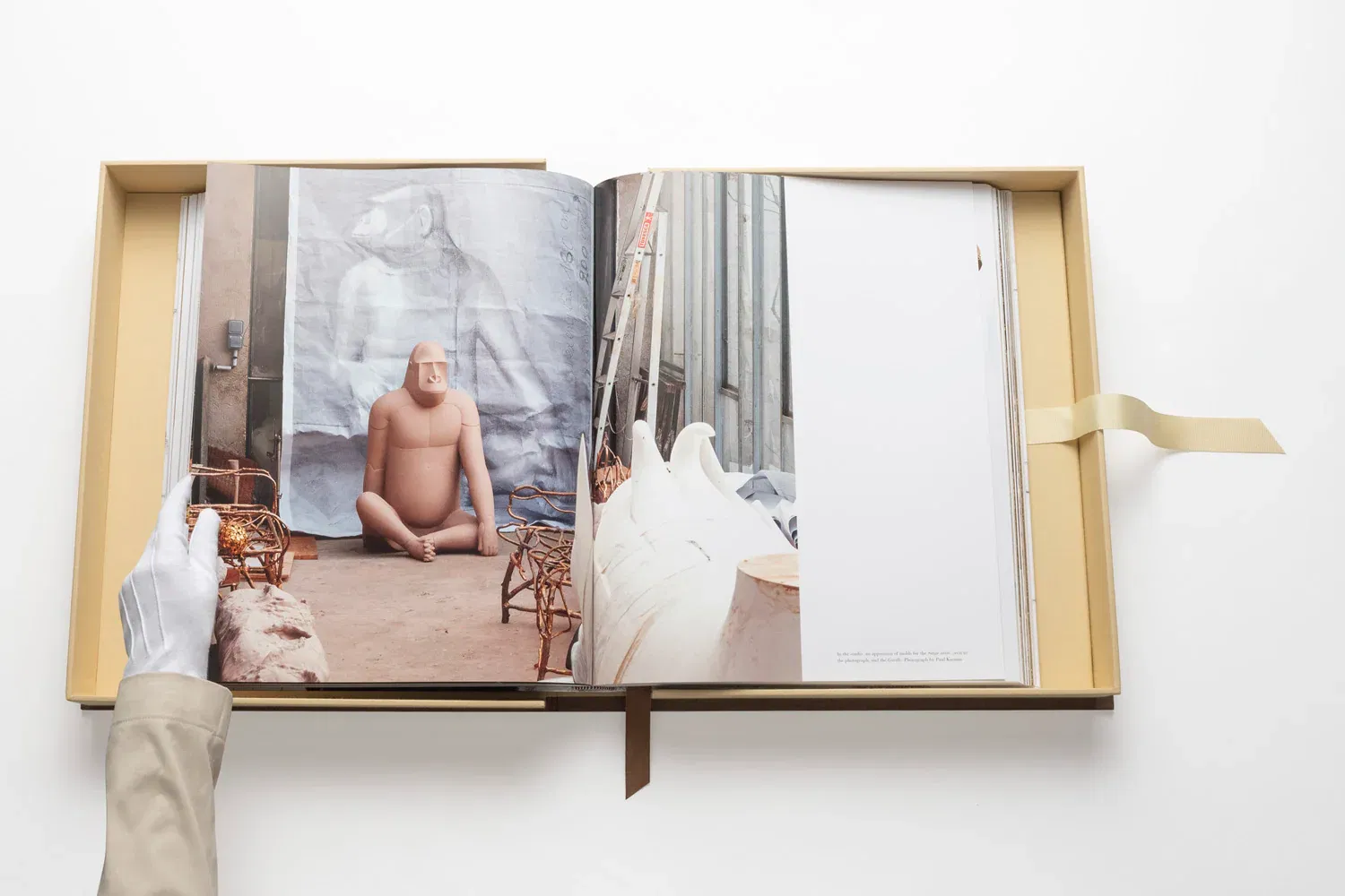 Lalanne: A World of Poetry