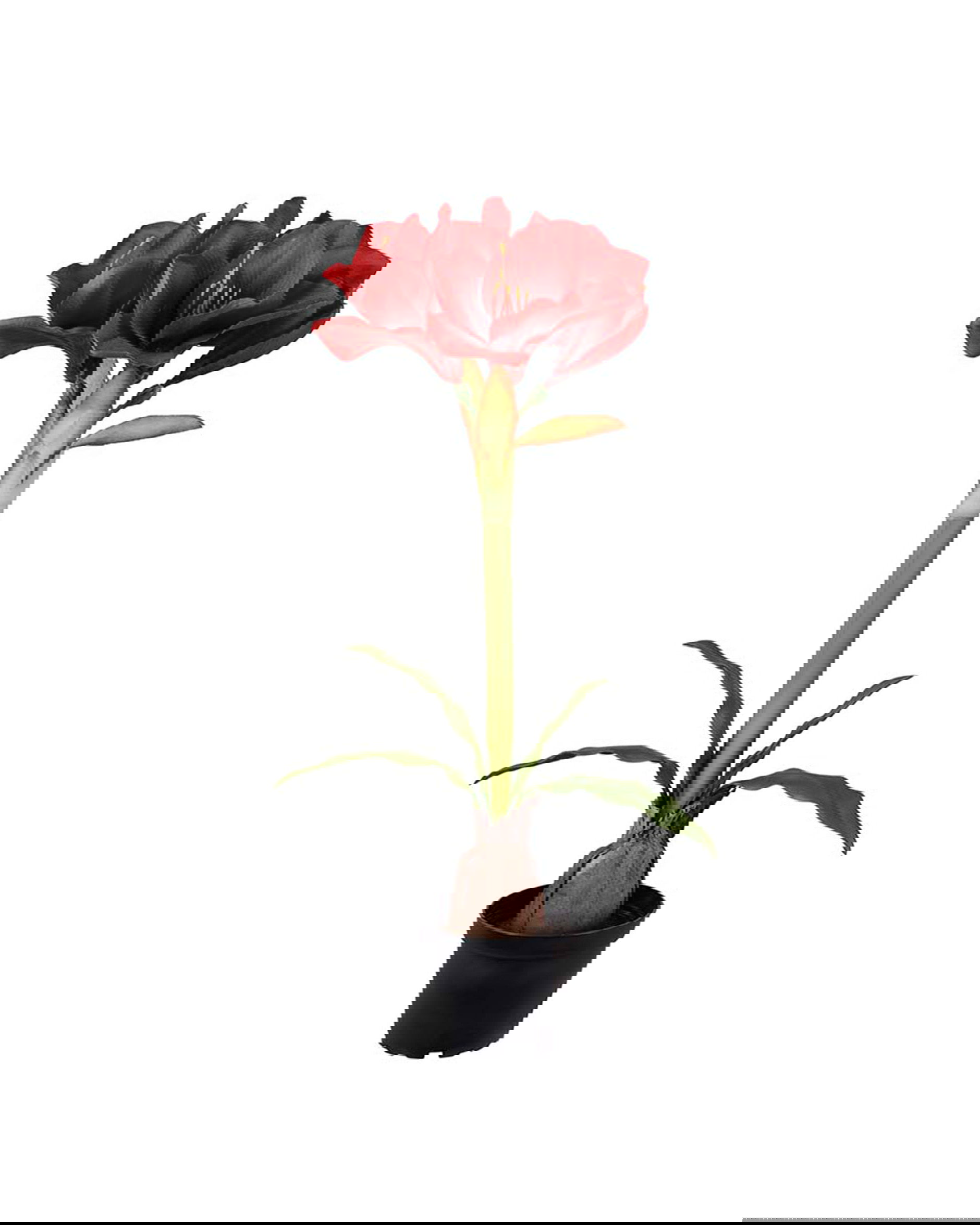 Amaryllis Artificial Plant Red