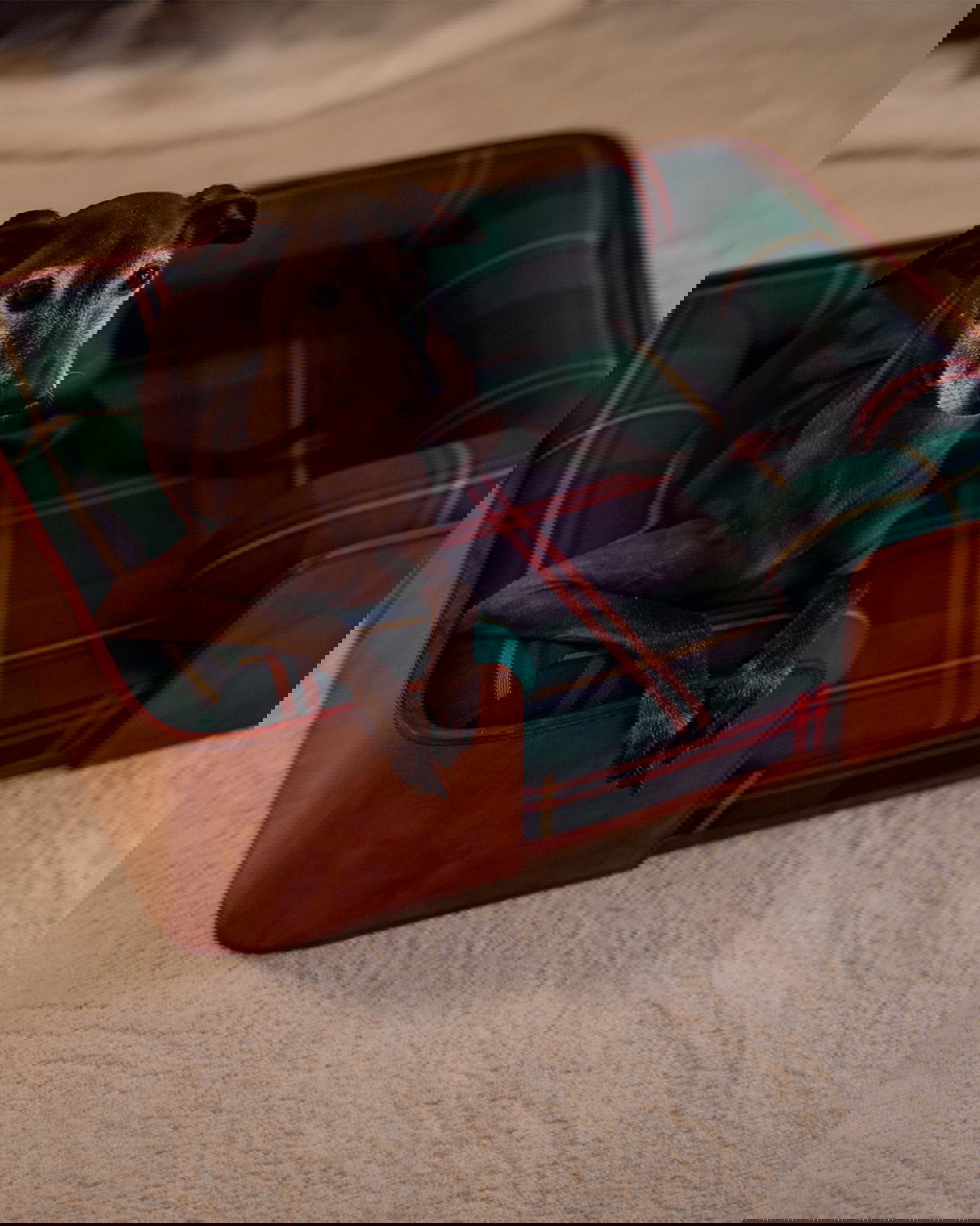 Kensington Hondenbed Wexford