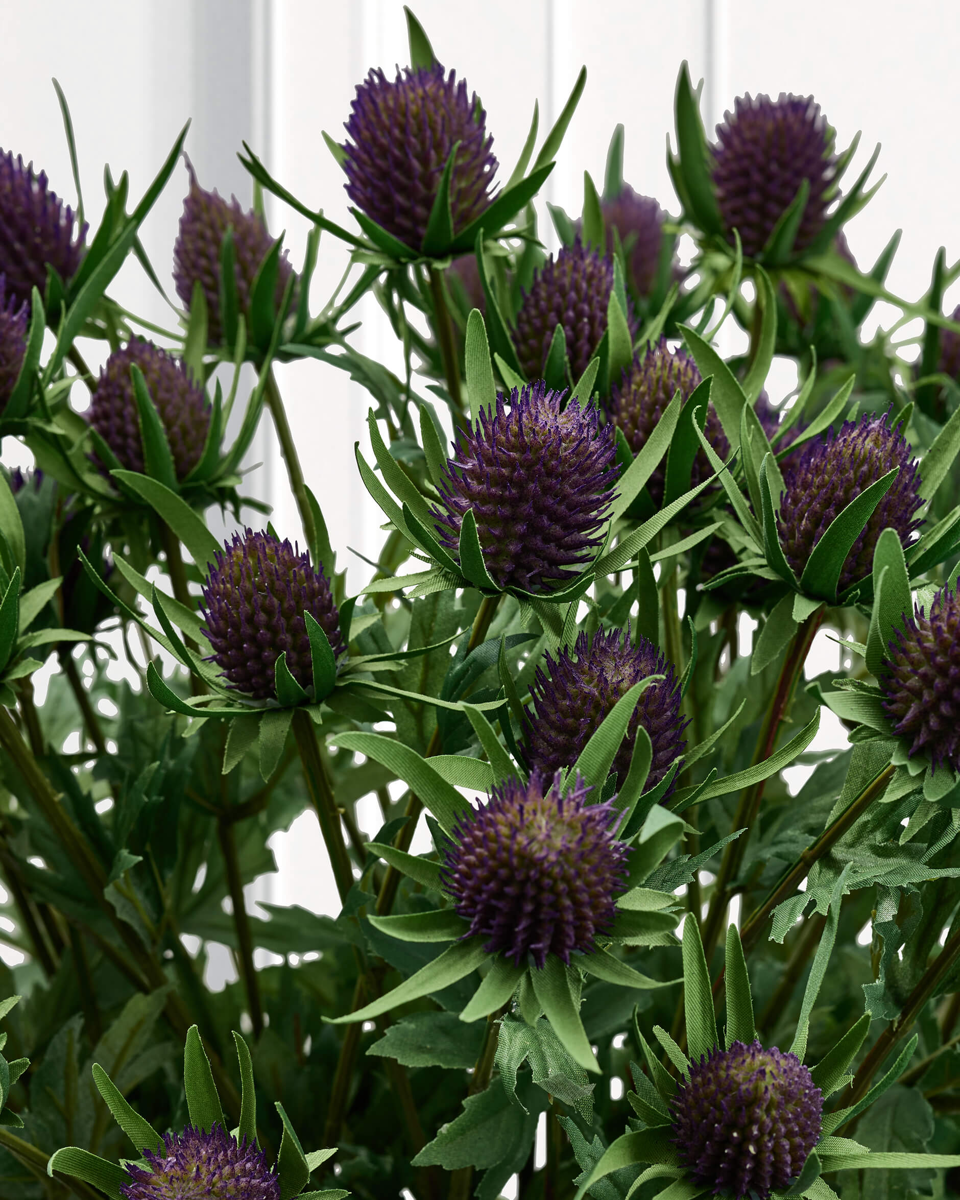 Tistel snittblomma blå