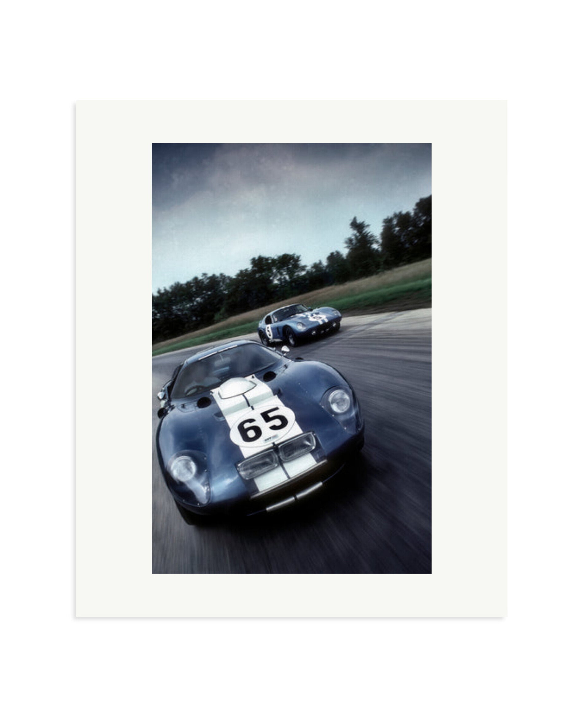 Ford Cobra Print Only / Large