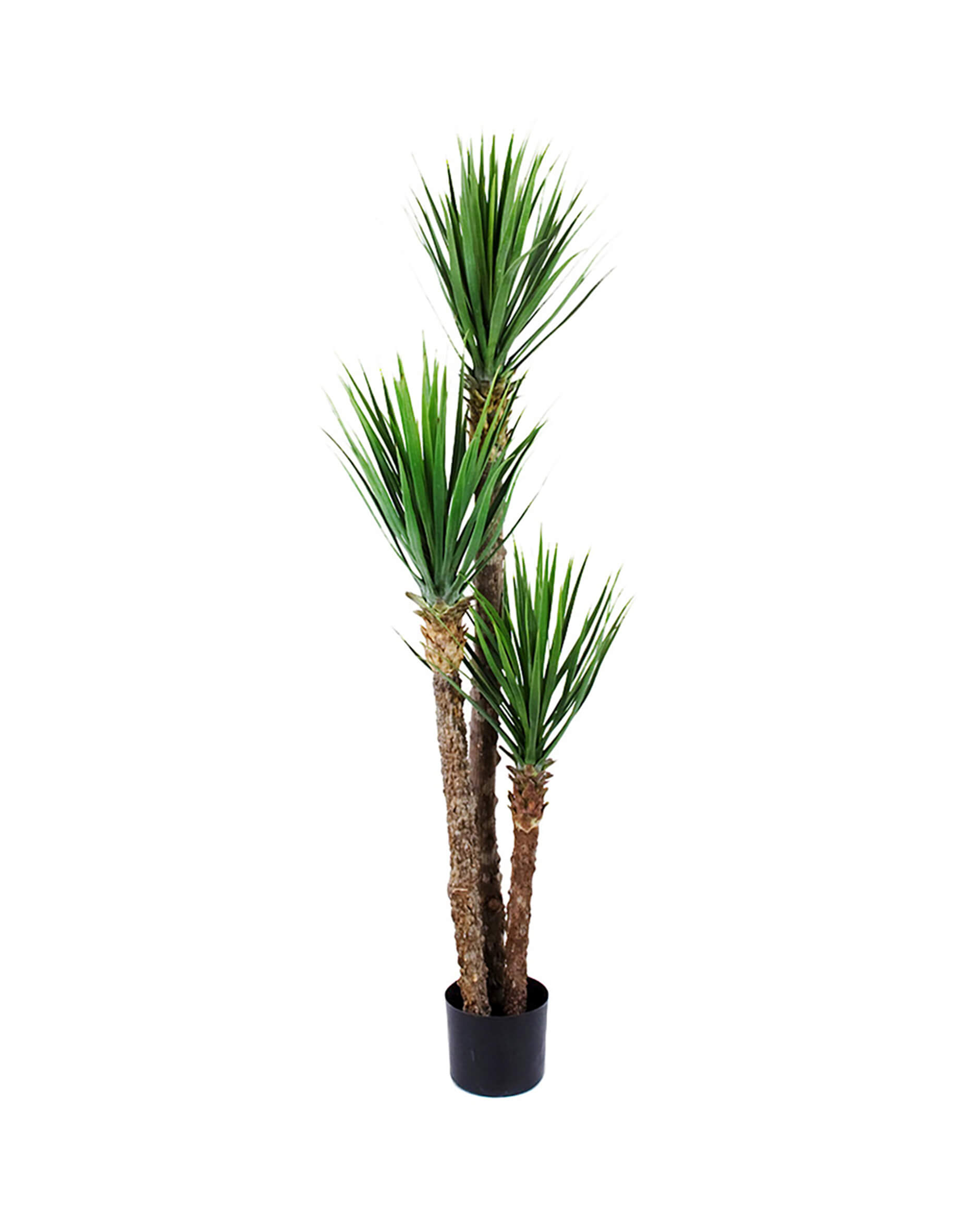 Yucca Rostrata konstträd grön