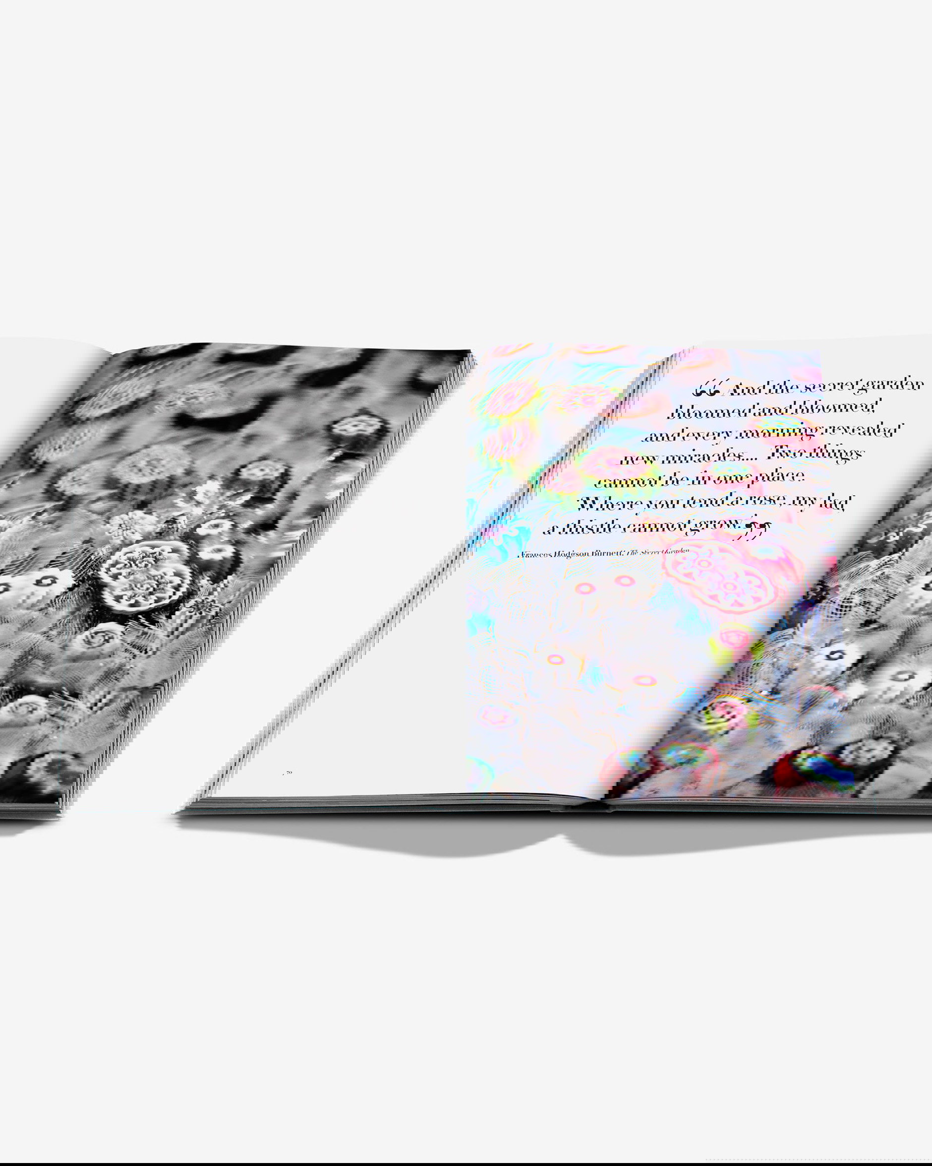 Boules D'Escalier, The Flávia & Frank Abubakir Collection