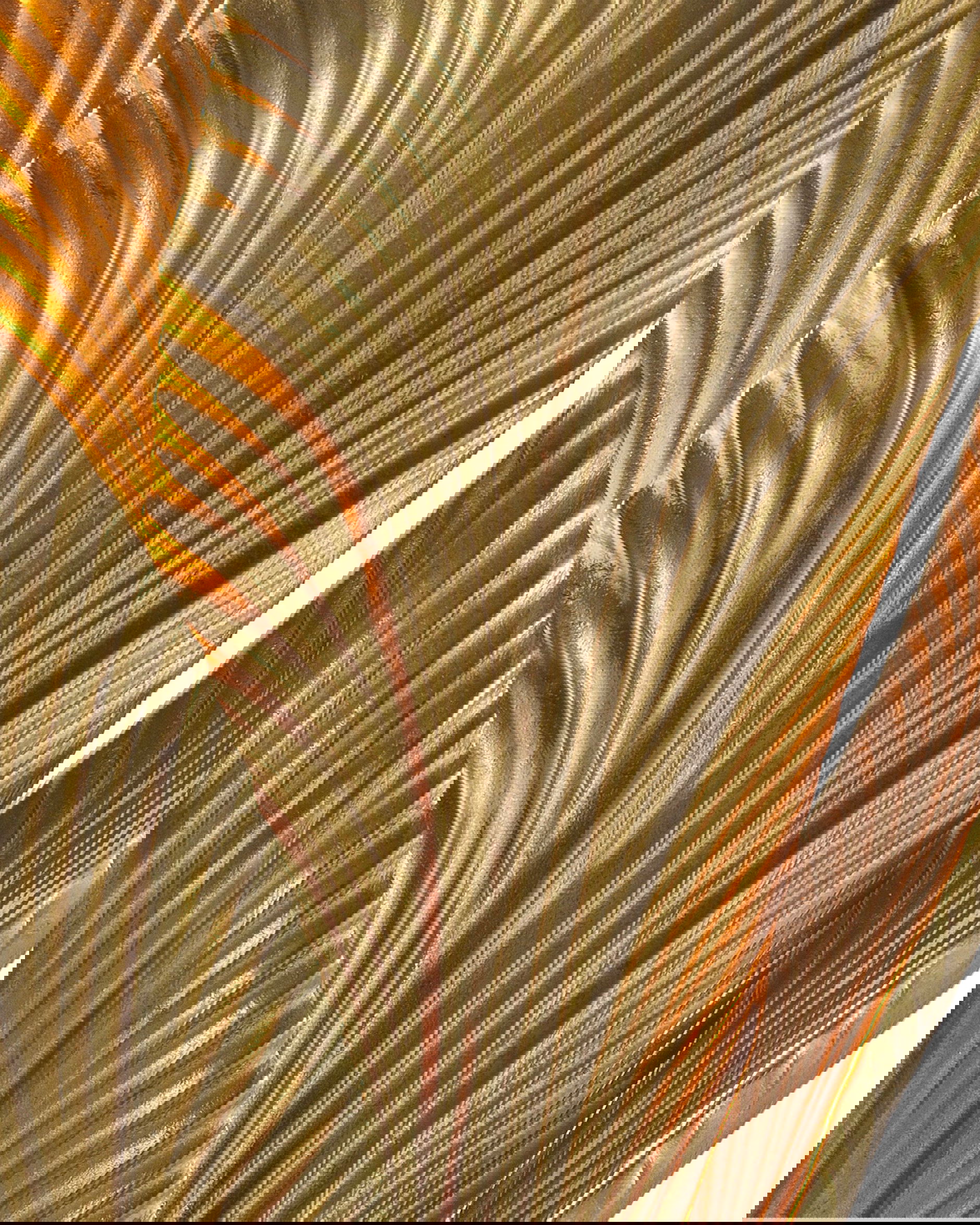 Maui bordslampa guld