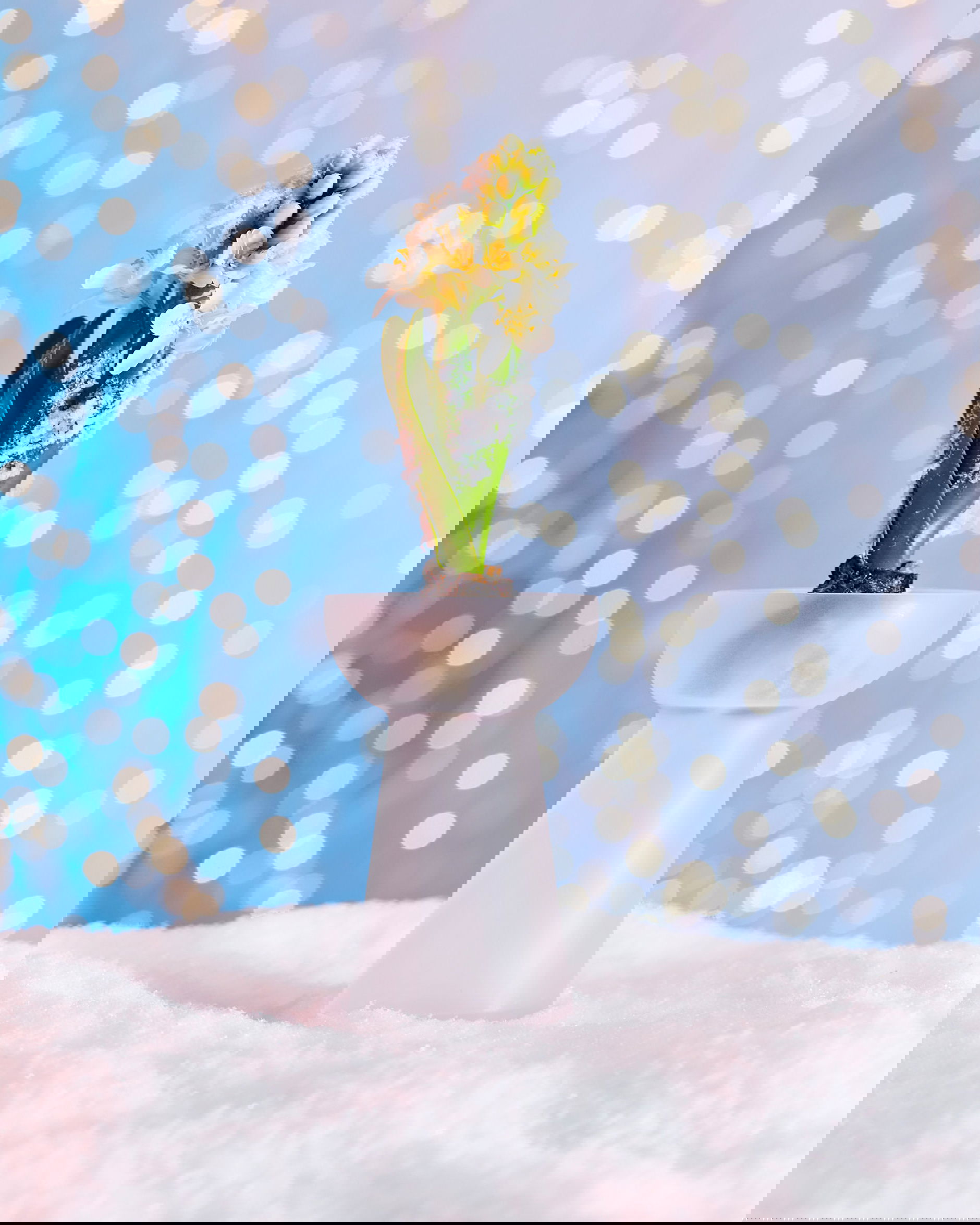 Eudora-hyasinttimaljakko