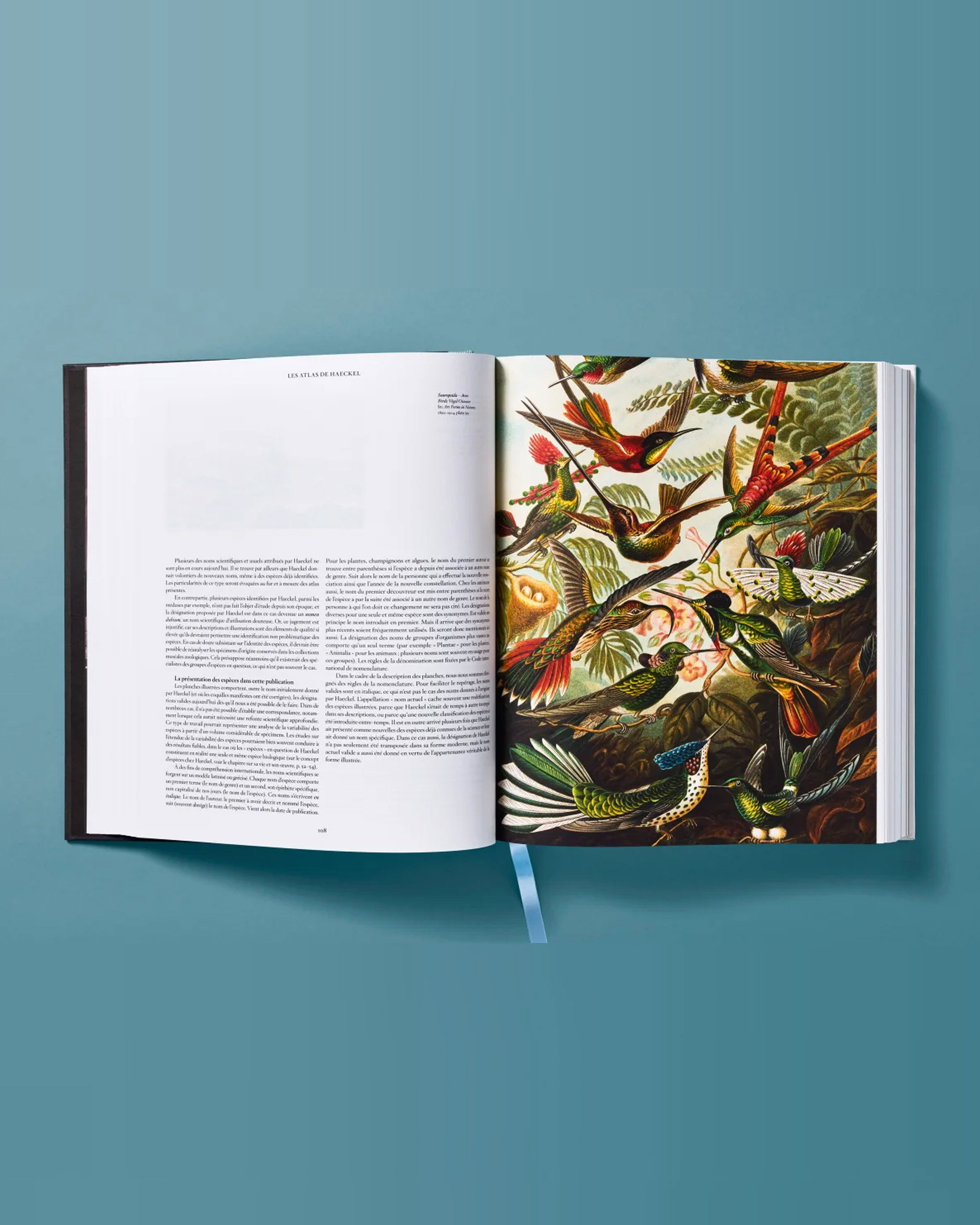 The Art and Science of Ernst Haeckel