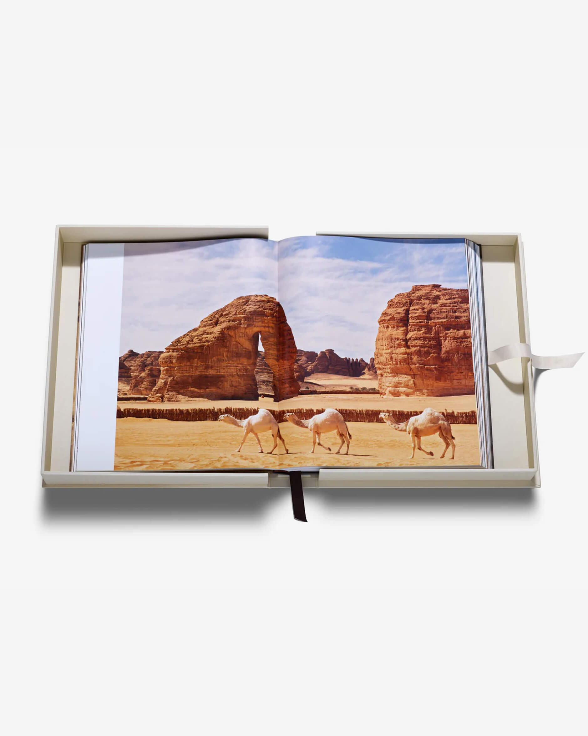 Grace in The Desert: The Beauty of Saudi Arabia's Camels