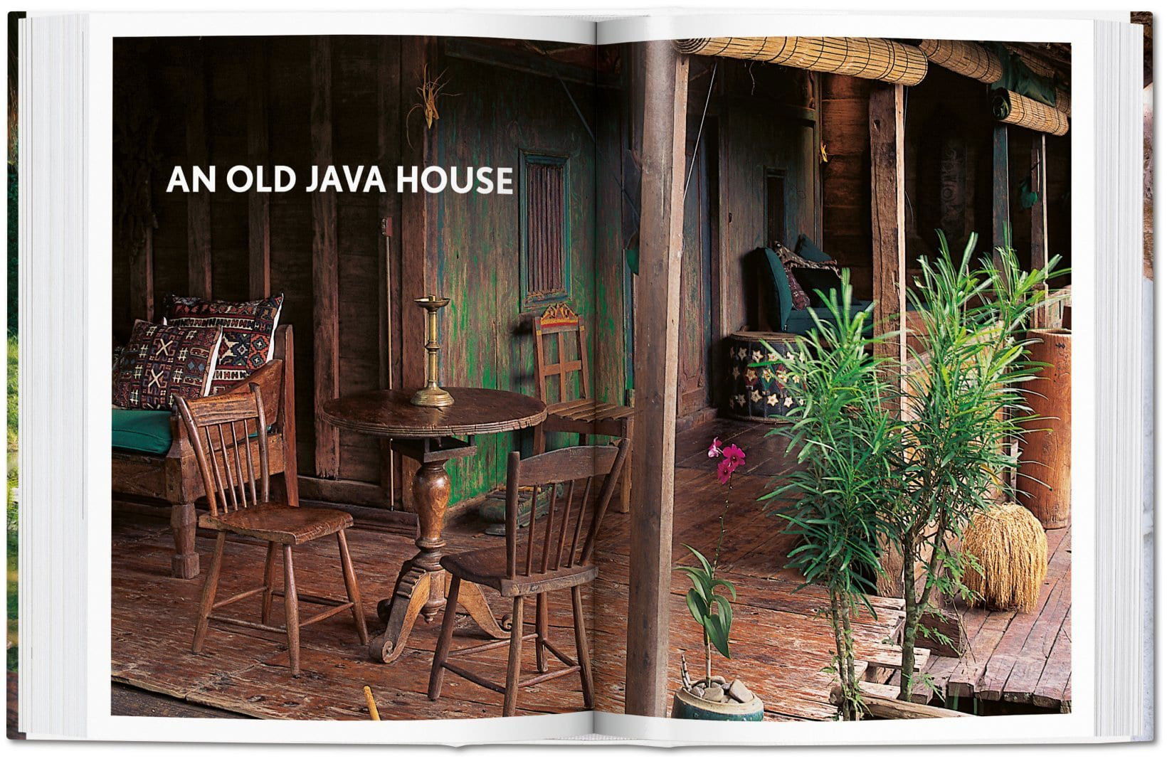 Living in Bali. 40 series