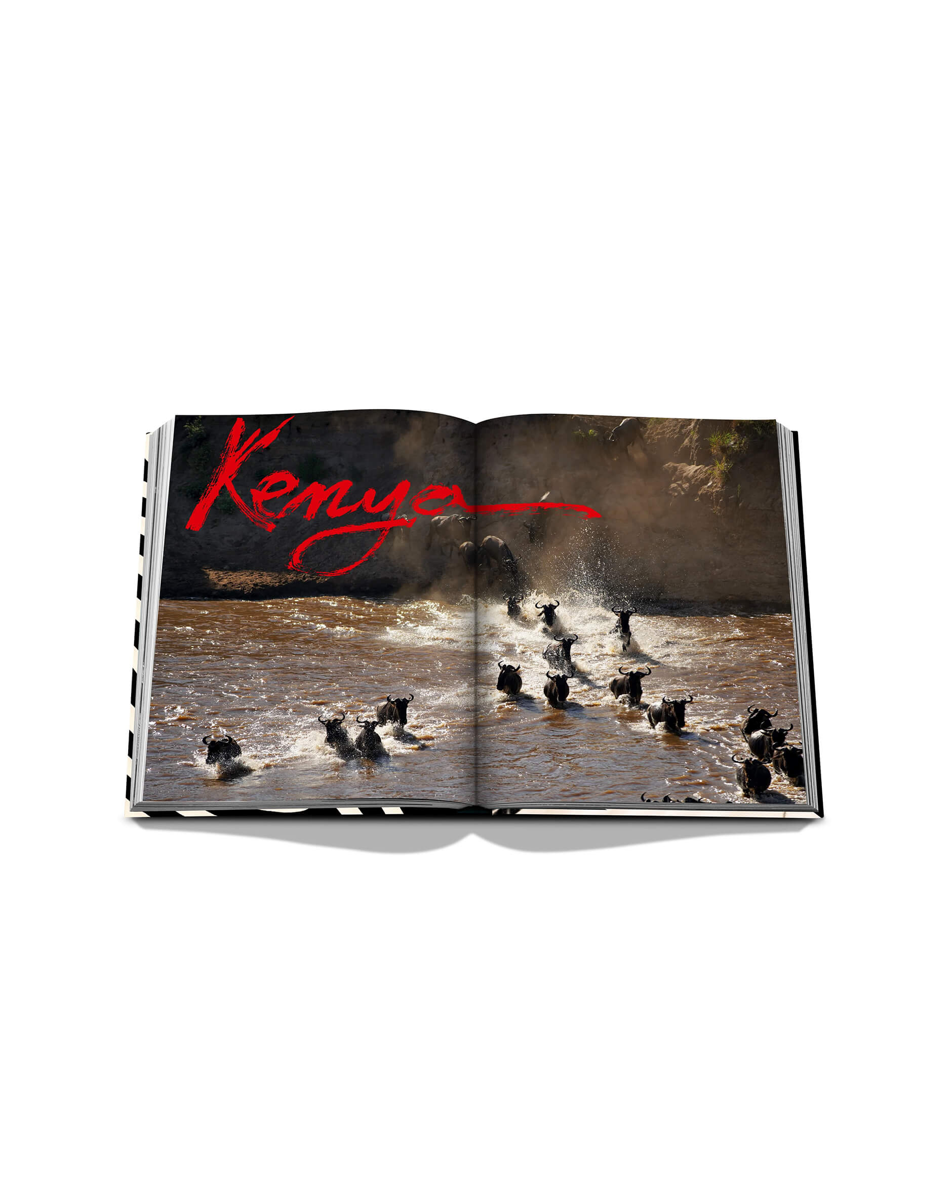 African Adventures - The Greatest Safari on Earth